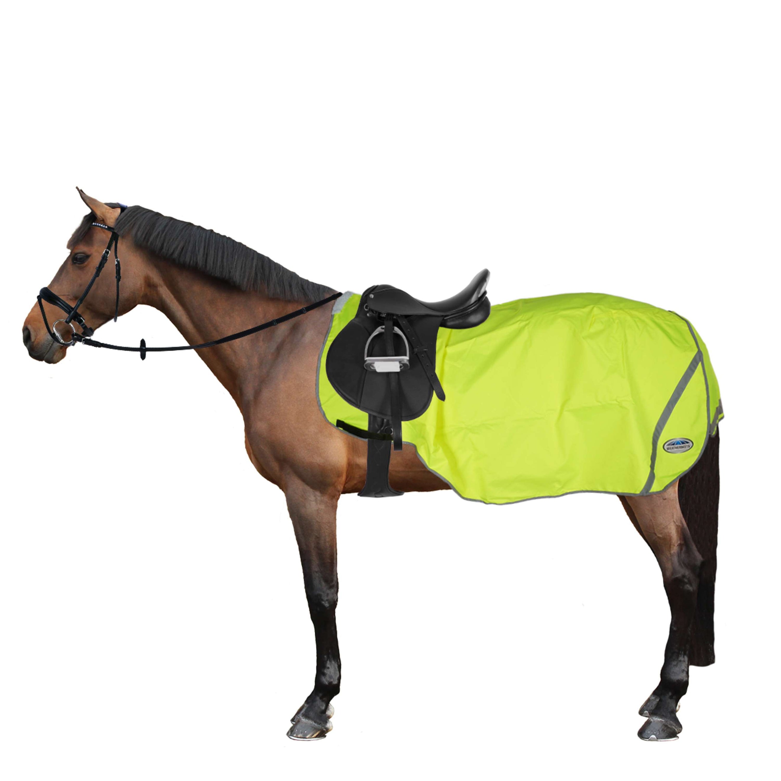 Weatherbeeta Exercise Sheet 300D Reflective Yellow