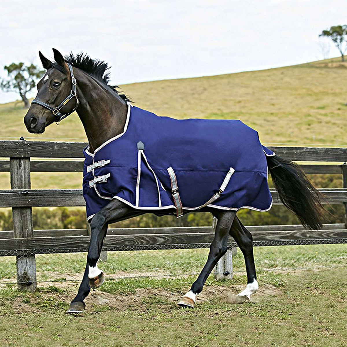 Weatherbeeta Lite Plus Turnout Rug Comfitec Essential Standard Neck Navy/Silver/Red