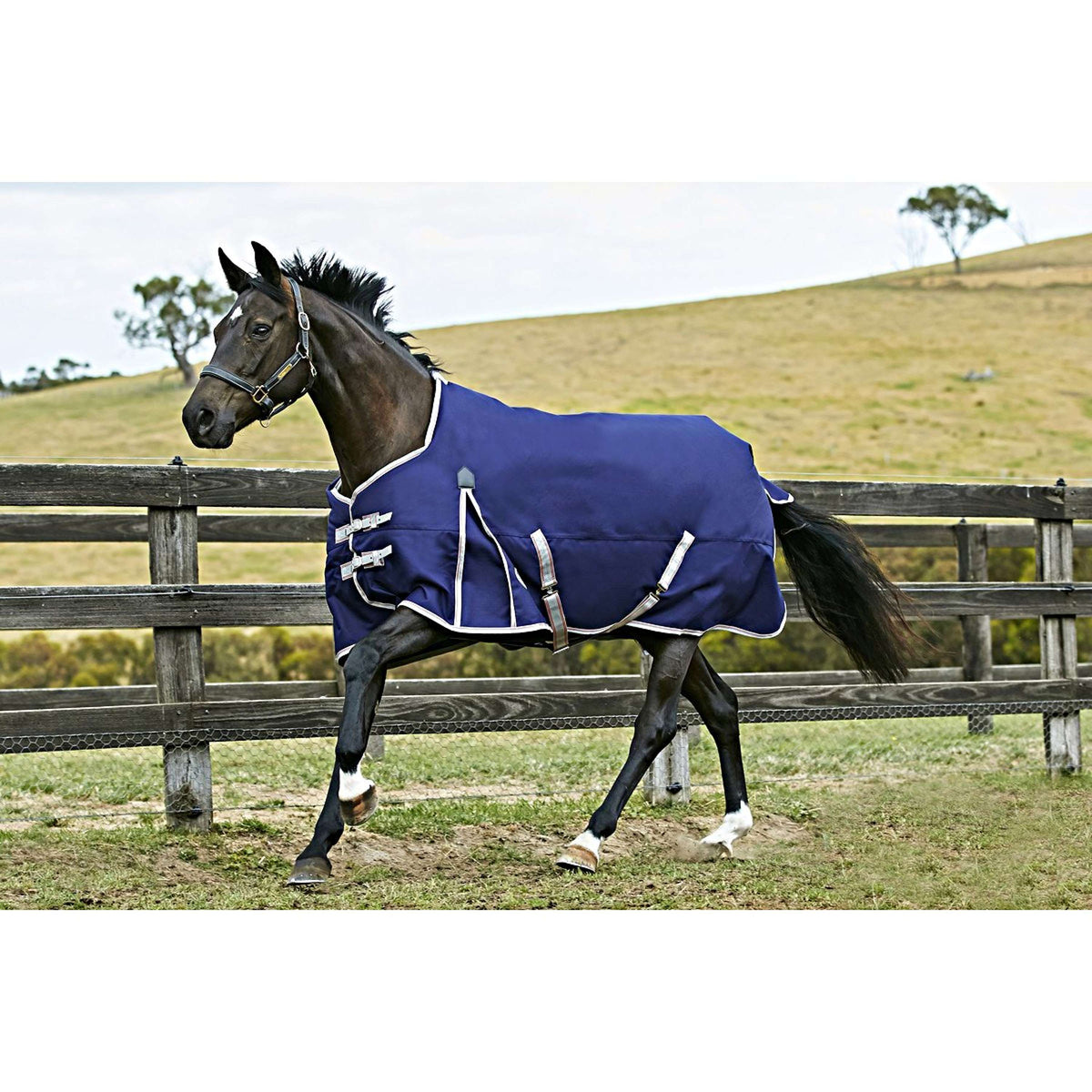 Weatherbeeta Medium Plus Turnout Rug Comfitec Essential Standard Neck Navy/Silver/Red