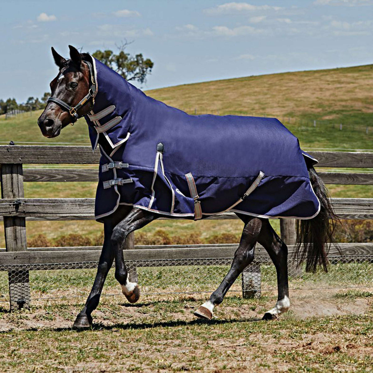 Weatherbeeta Heavy Turnout Rug Combo Neck Comfitec Essential Navy/Silver/Red