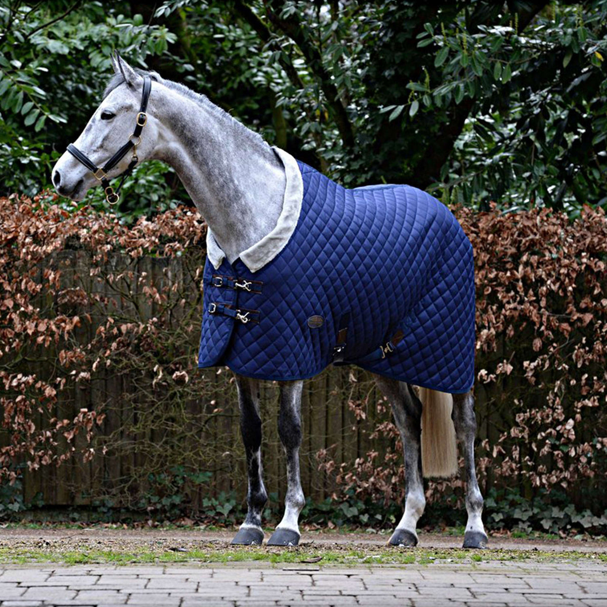 Weatherbeeta Medium Stable Rug Comfitec Deluxe Diamond Quilt Standard Neck Navy