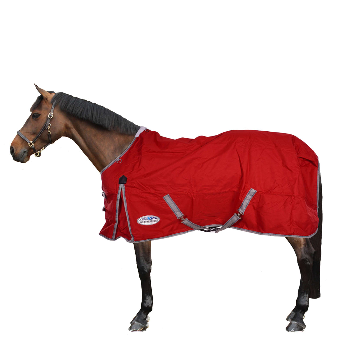 Weatherbeeta Lite Turnout Rug Comfitec Classic Standard Neck Red/Silver/Navy