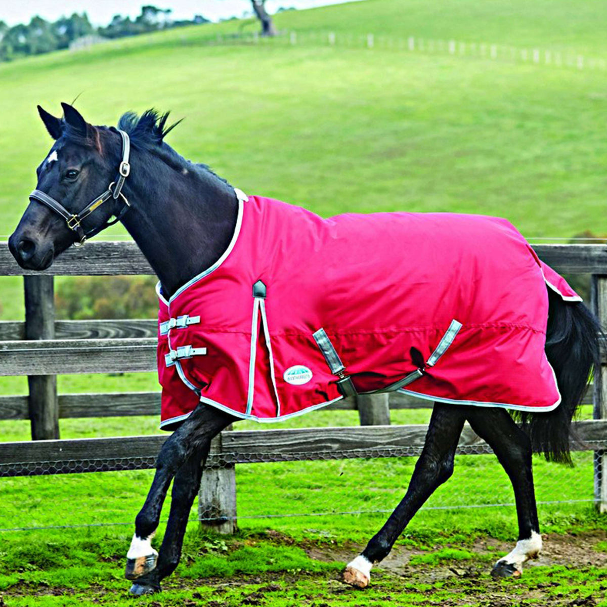 Weatherbeeta Medium Turnout Rug Comfitec Classic Standard Neck Red/Silver/Navy