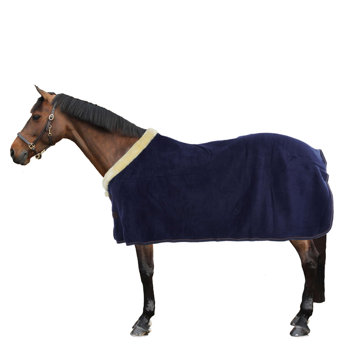 Kentucky Sweat Rug Show Fleece Heavy Navy