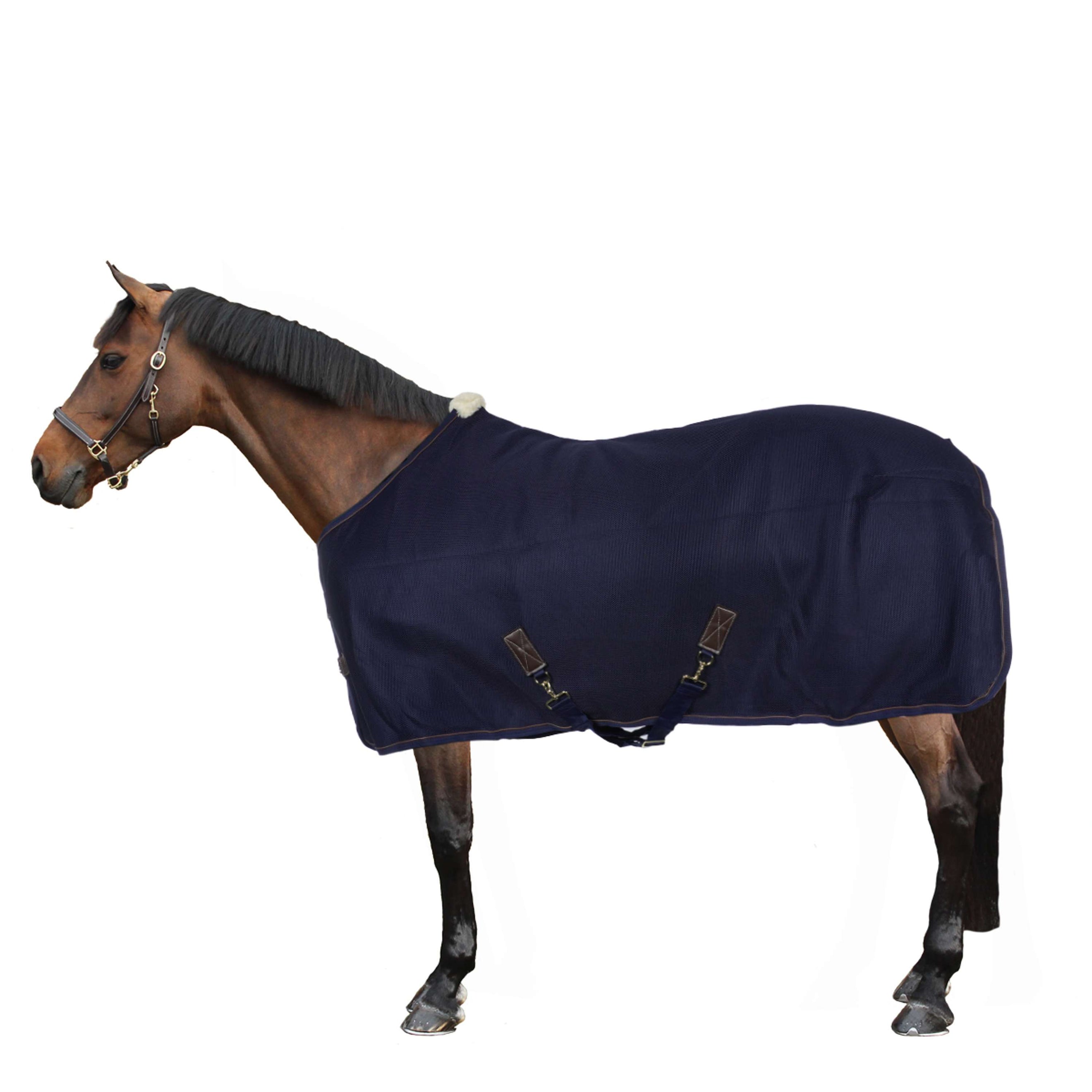 Kentucky Cooler Rug 3D Spacer Navy