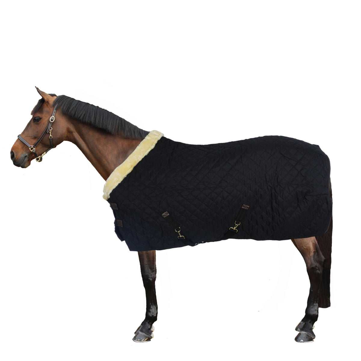 Kentucky Show Rug 160g Black/Natural