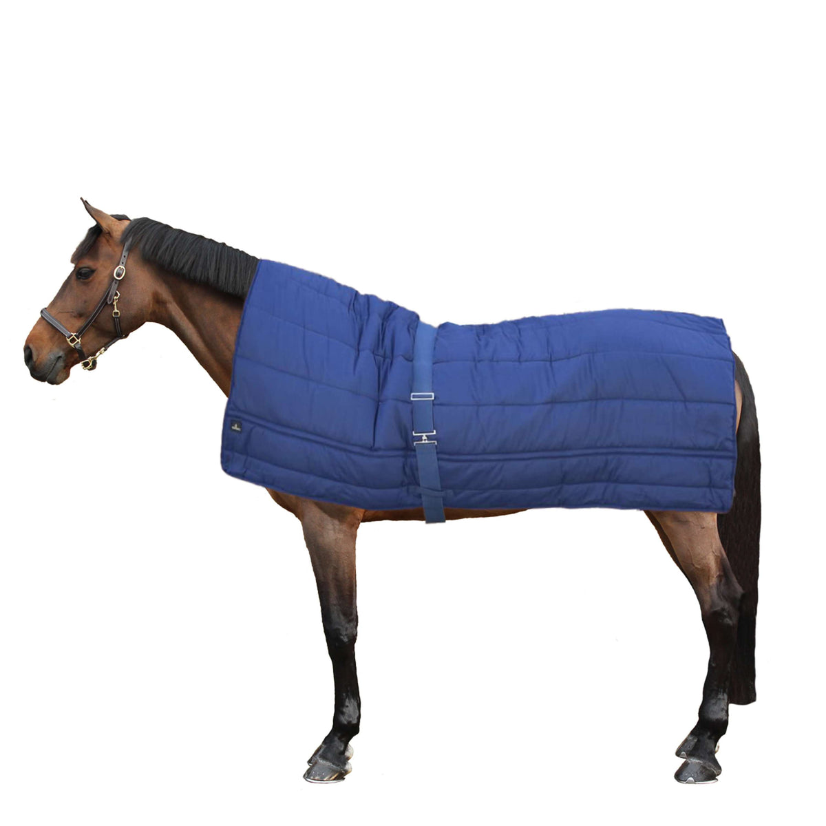 Kentucky Rug Horse Duvet 300g Navy