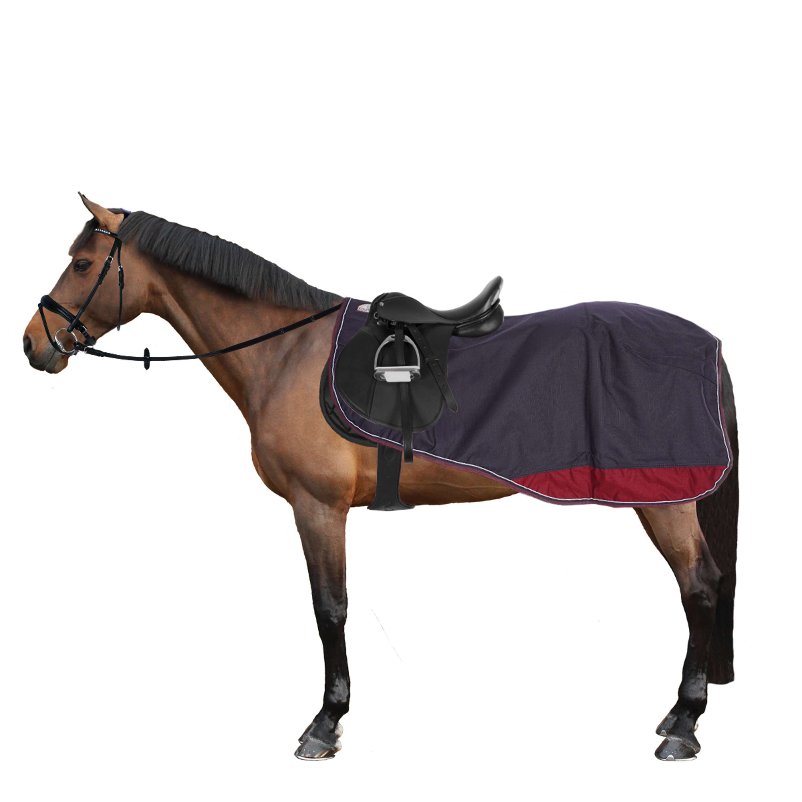 EQUITHÈME Exercise Rug Tyrex 1200D Polar Fleece Navy/Burgundy