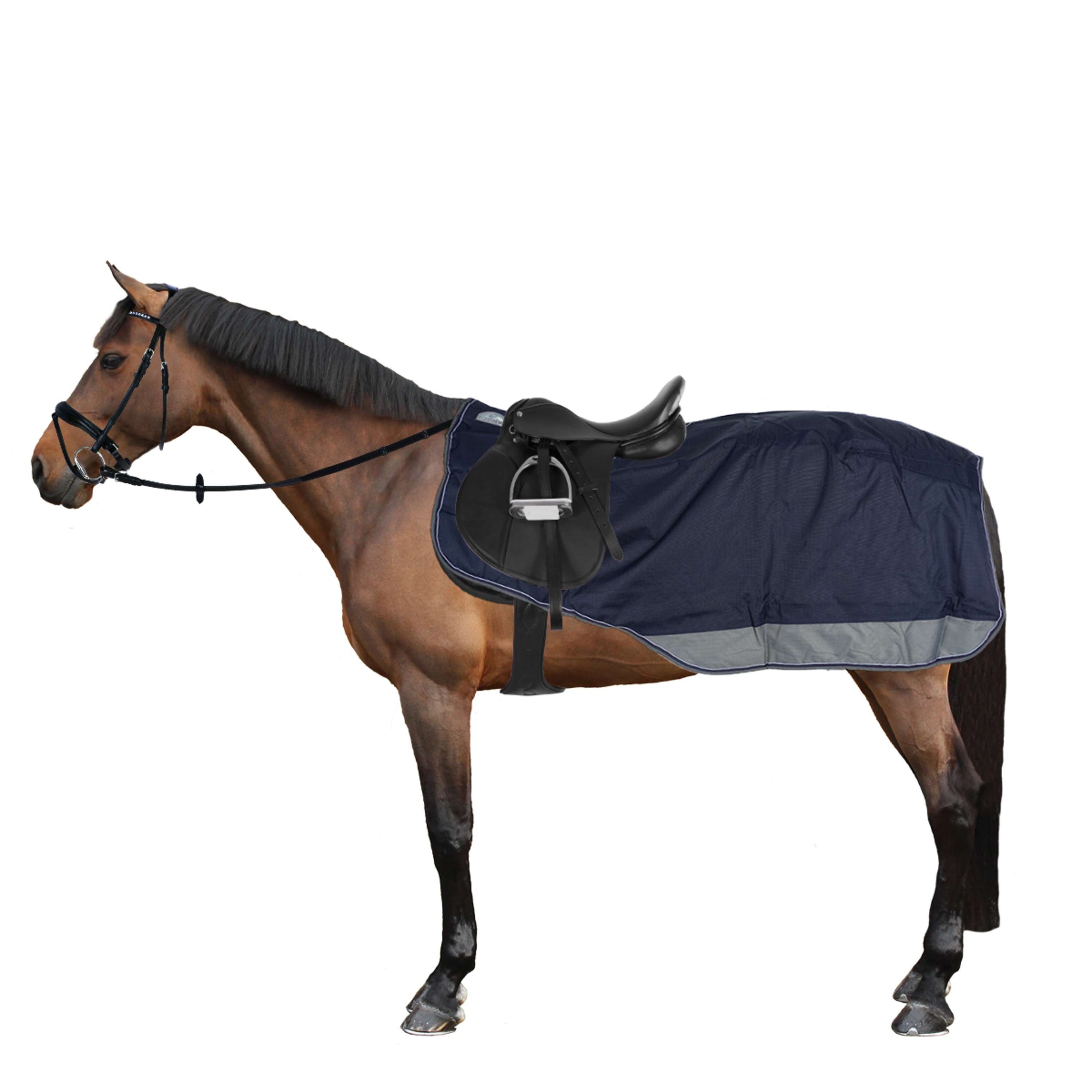 EQUITHÈME Exercise Rug Tyrex Polar Fleece 600D Navy/Grey Dots