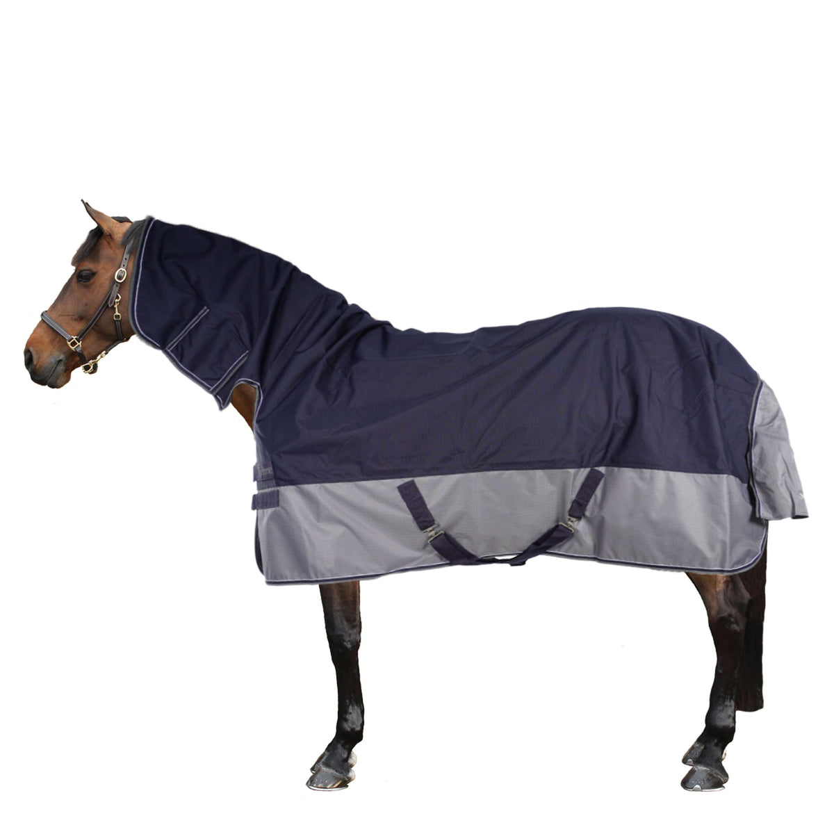 EQUITHÈME Turnout Rug Tyrex Combo 600D 350g Navy/Grey Dots