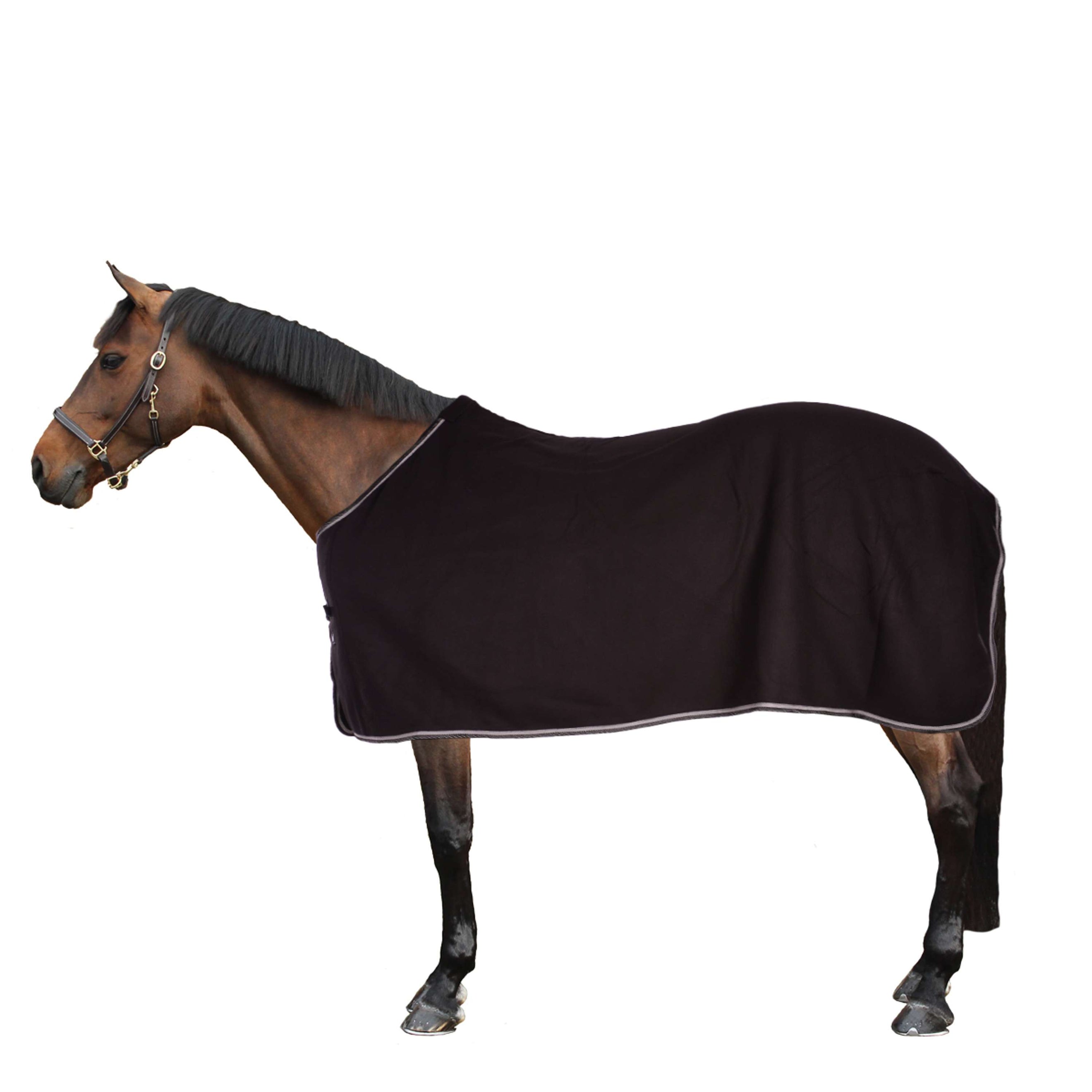 Riding World Fleece Rug Polar Fleece