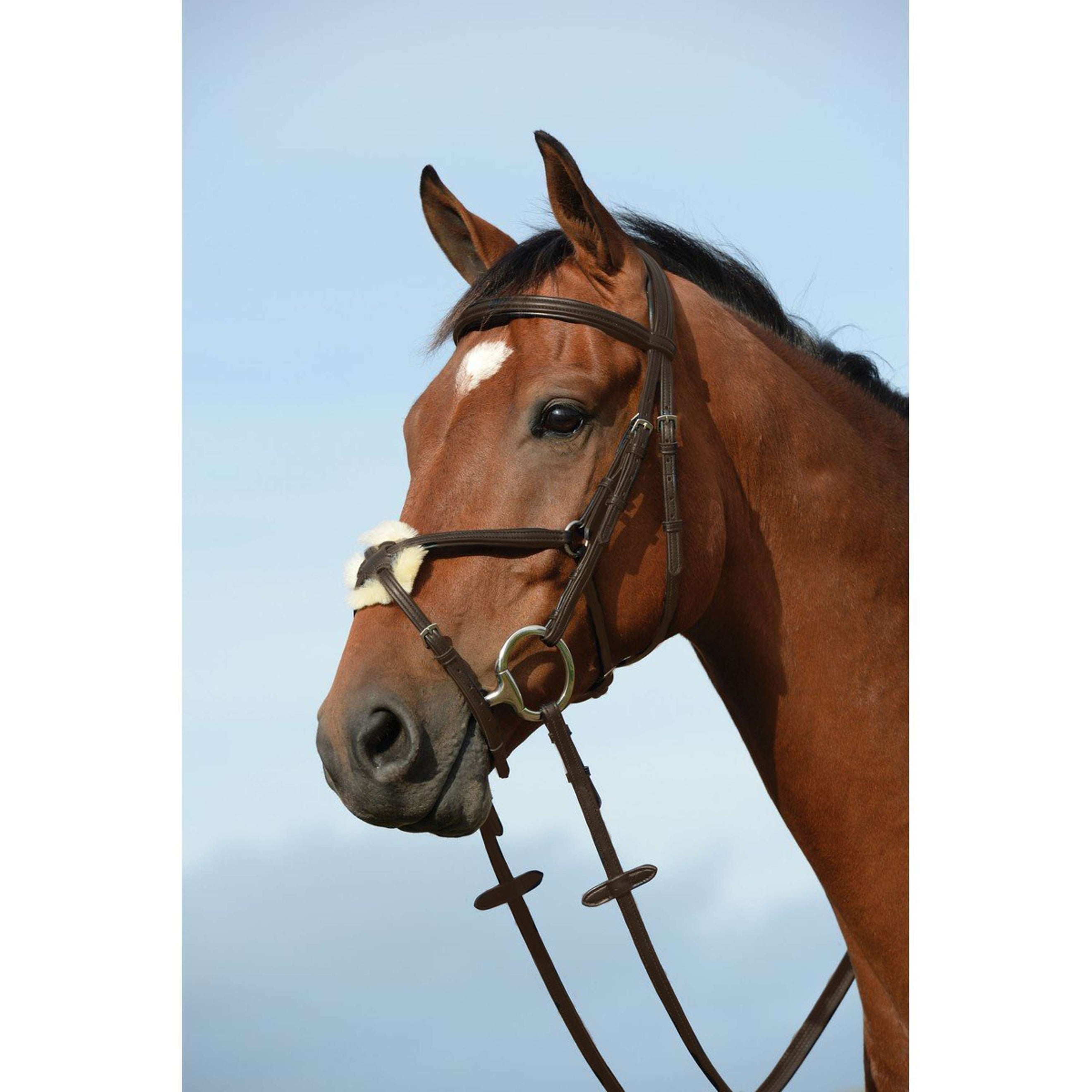 Collegiate Bridle Syntovia+ Figure 8 Brown