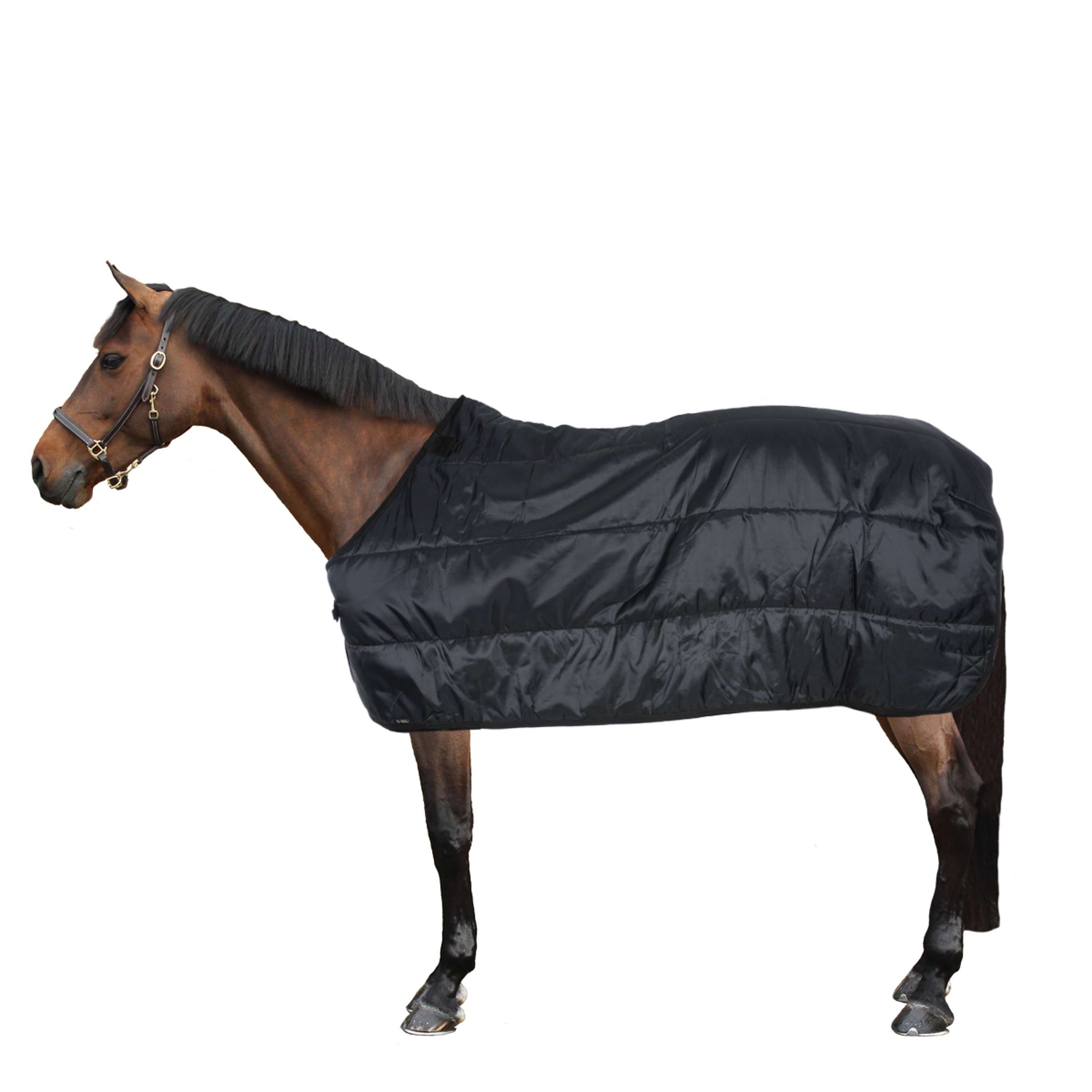 Back on Track Under Rug Felix Liner 200g Black