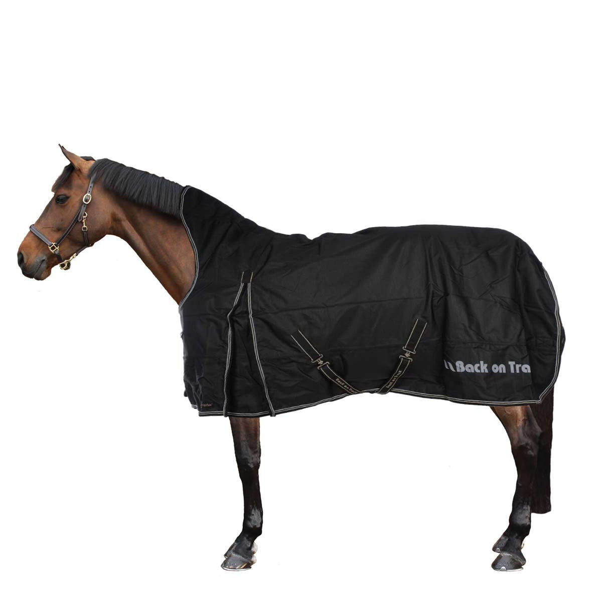 Back on Track Outdoor Rug William 50g Black