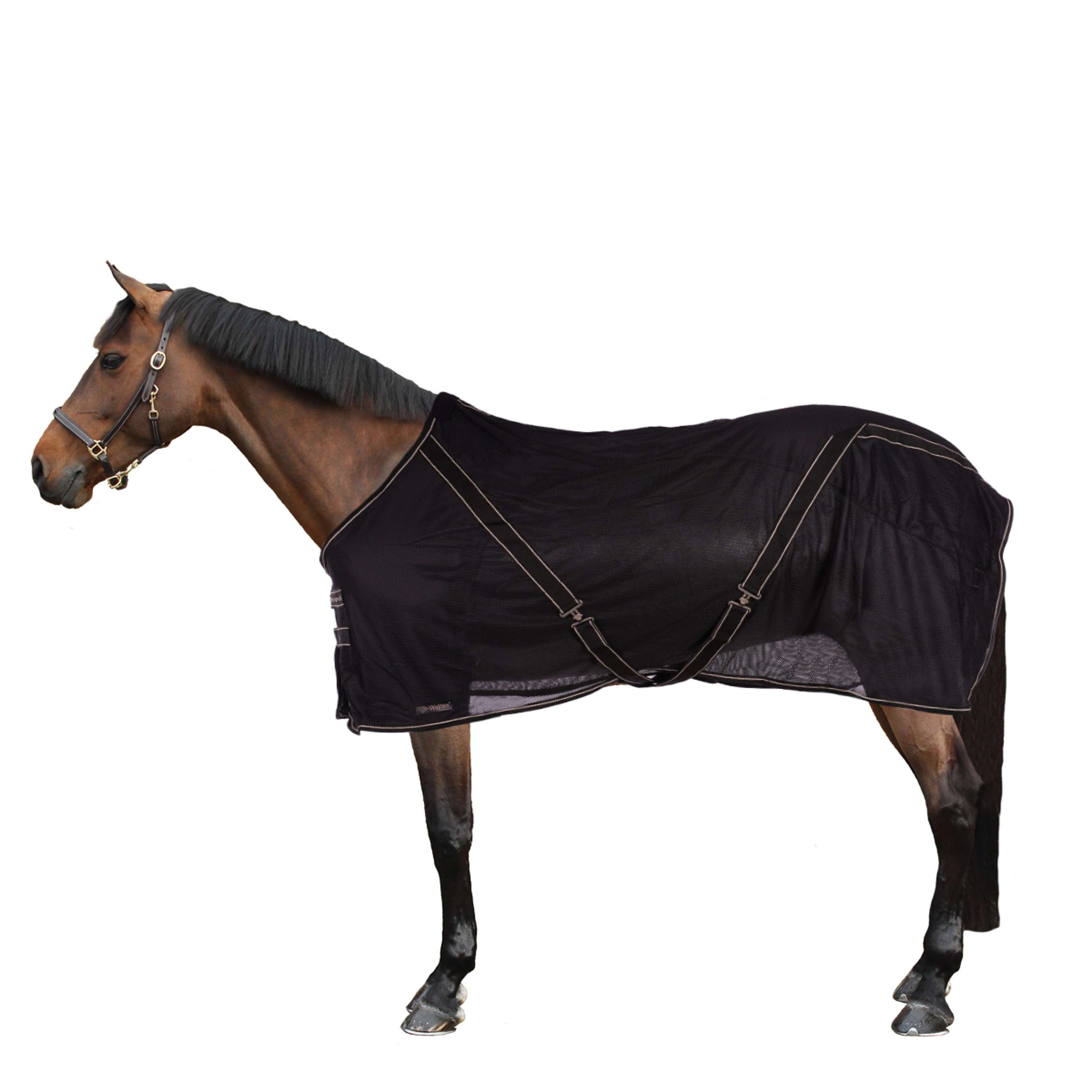 Back on Track Fly Rug Sienna Black