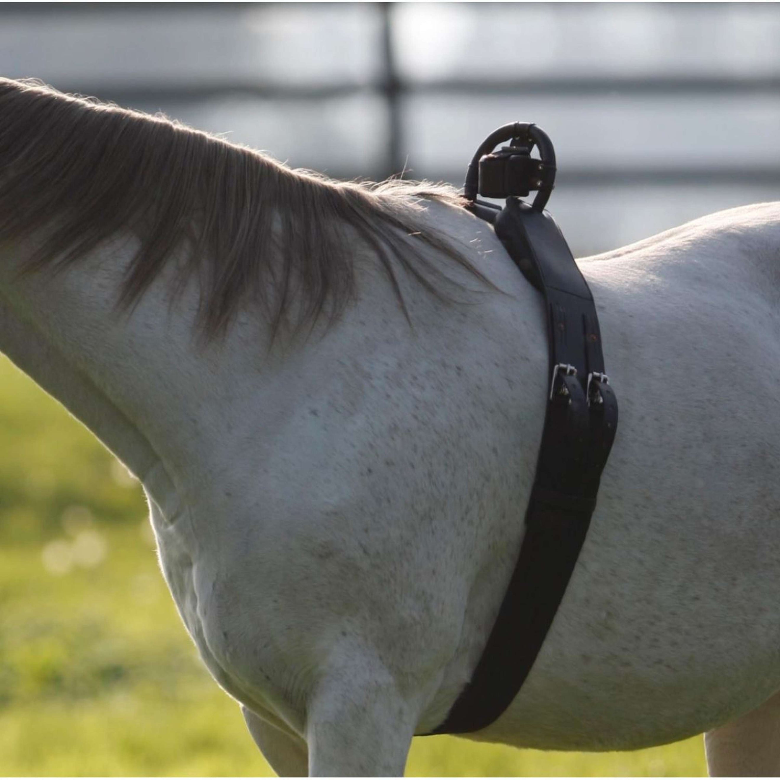 Birth Alarm Anti-Roll Girth Complete Birth Alarm Anti-Roll Girth Complete