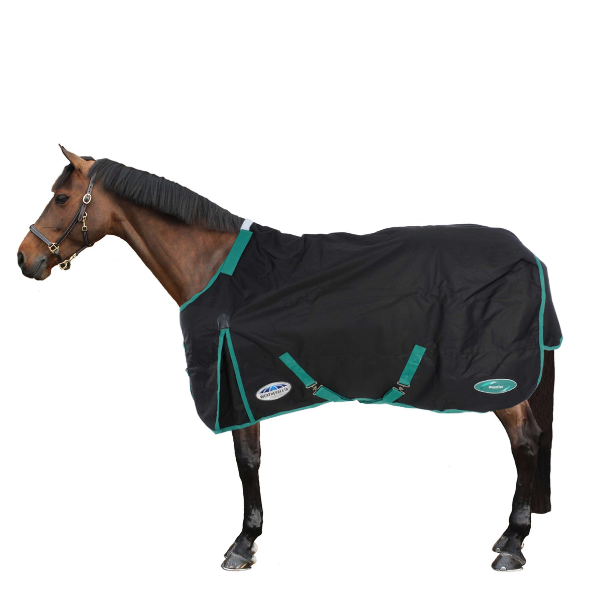 Weatherbeeta Winter Rug Green-Tec 900D Detach-A-Neck Medium 220g Black/Green