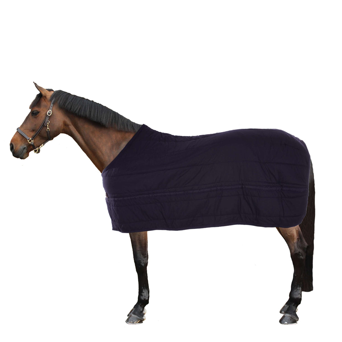 Kentucky Under Rug Skin Friendly 300g Navy