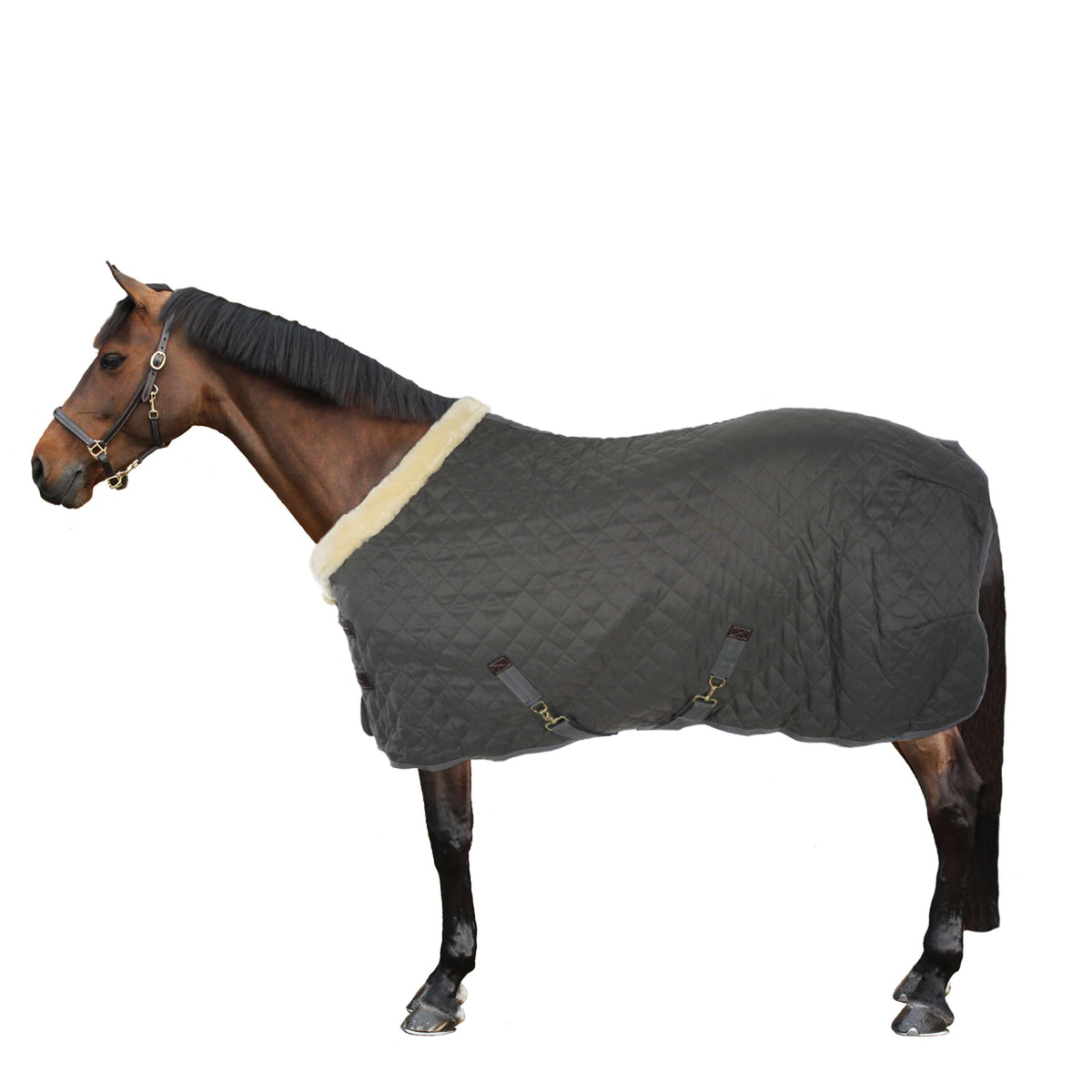 Kentucky Show Rug 160g Green/Grey