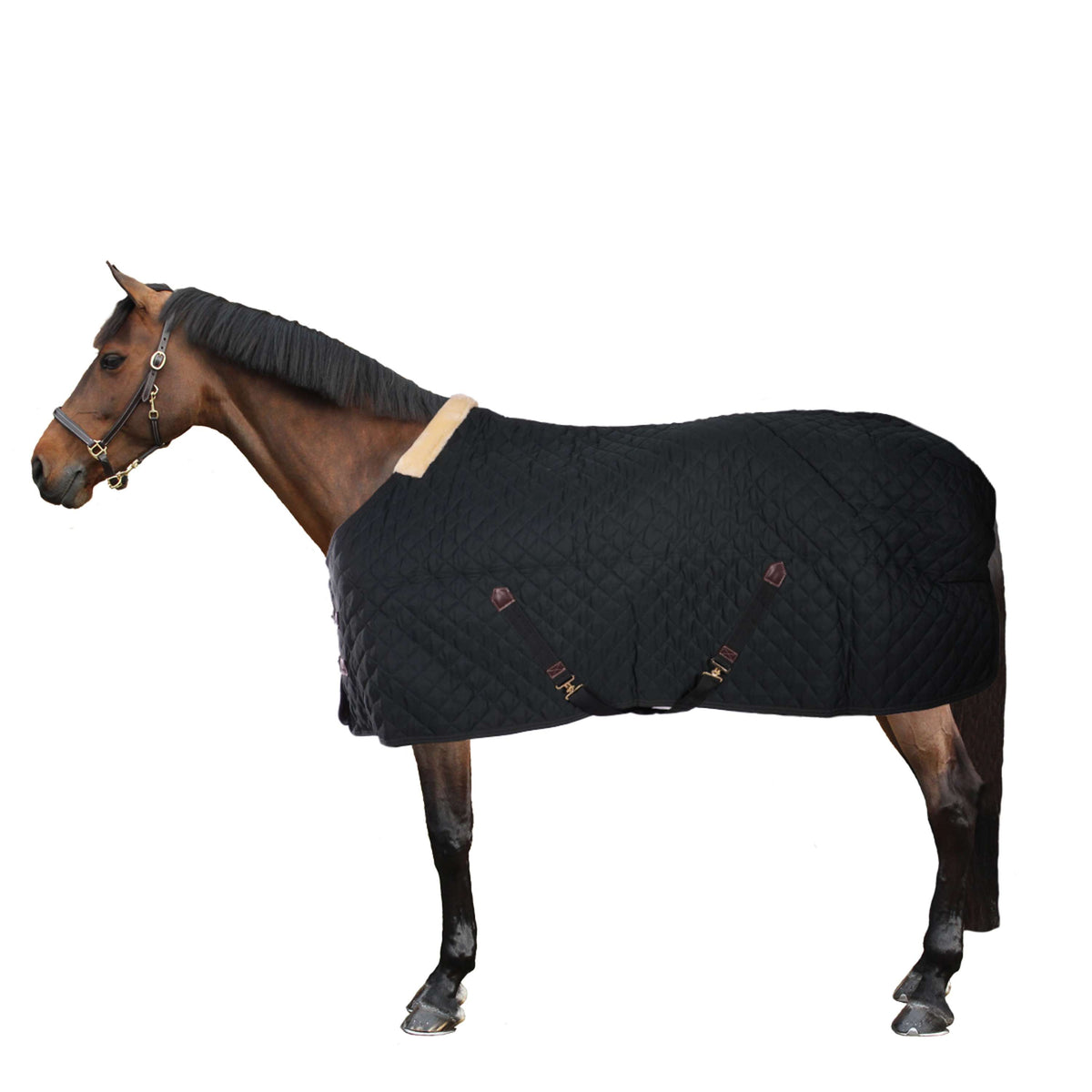 Kentucky Stable Rug 400g Dark Green