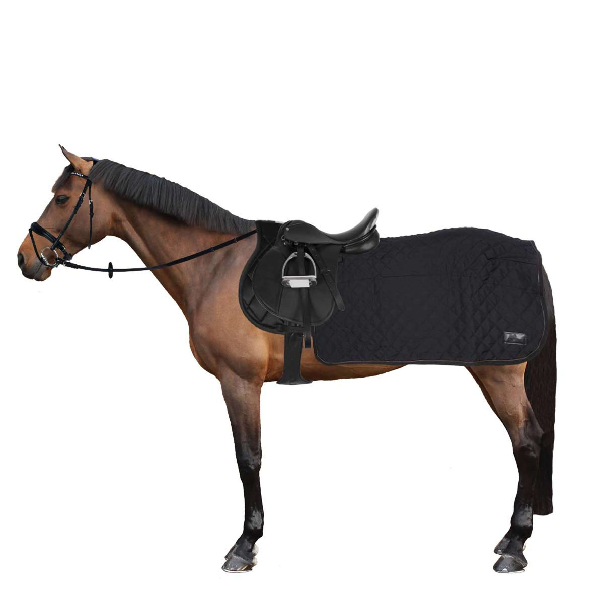 Kentucky Exercise Rug Square 160g Black