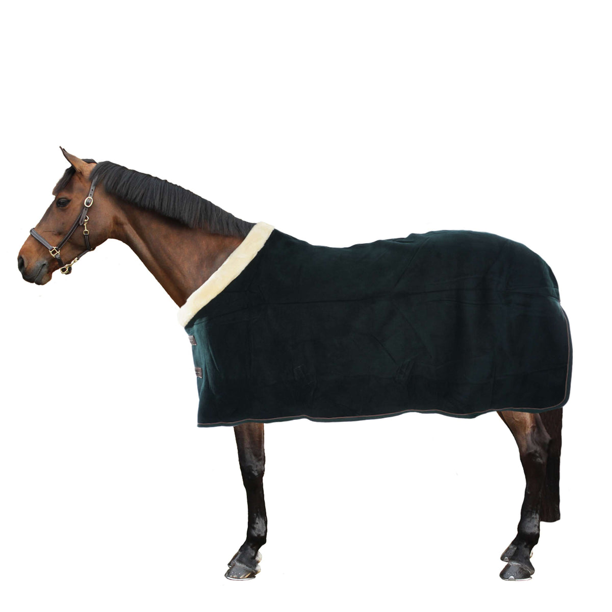 Kentucky Sweat Rug Show Fleece Heavy Green