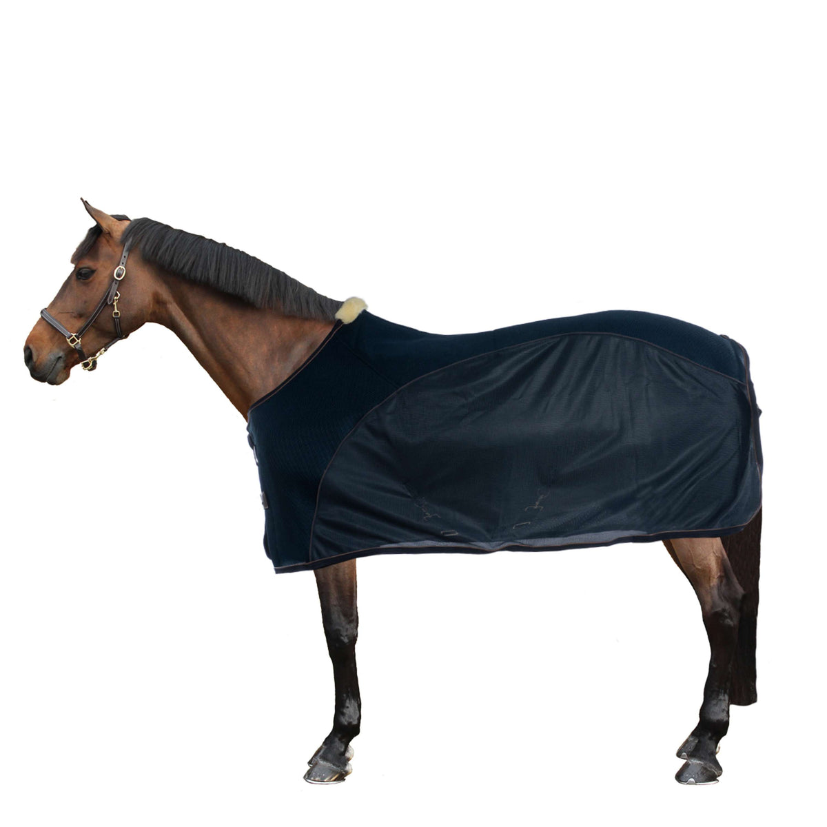 Kentucky Fly Rug Combination Sweat Rug Navy