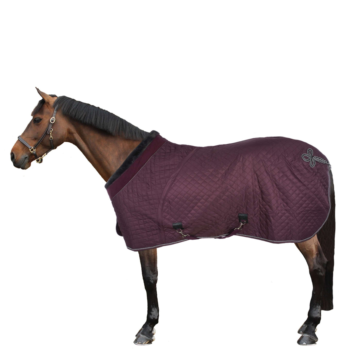 LeMieux Show Rug Lustre Bordeaux