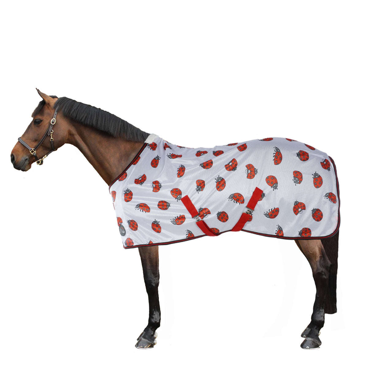 HKM Fly Rug Ladybug White Red