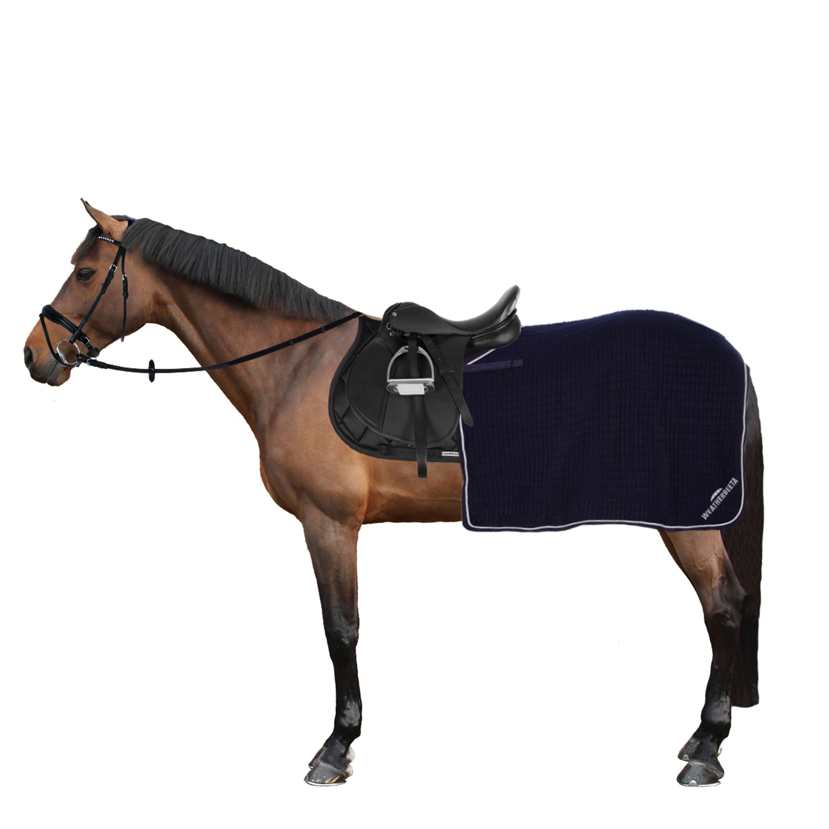 Weatherbeeta Exercise Rug Thermocell Quarter Sheet Navy/White