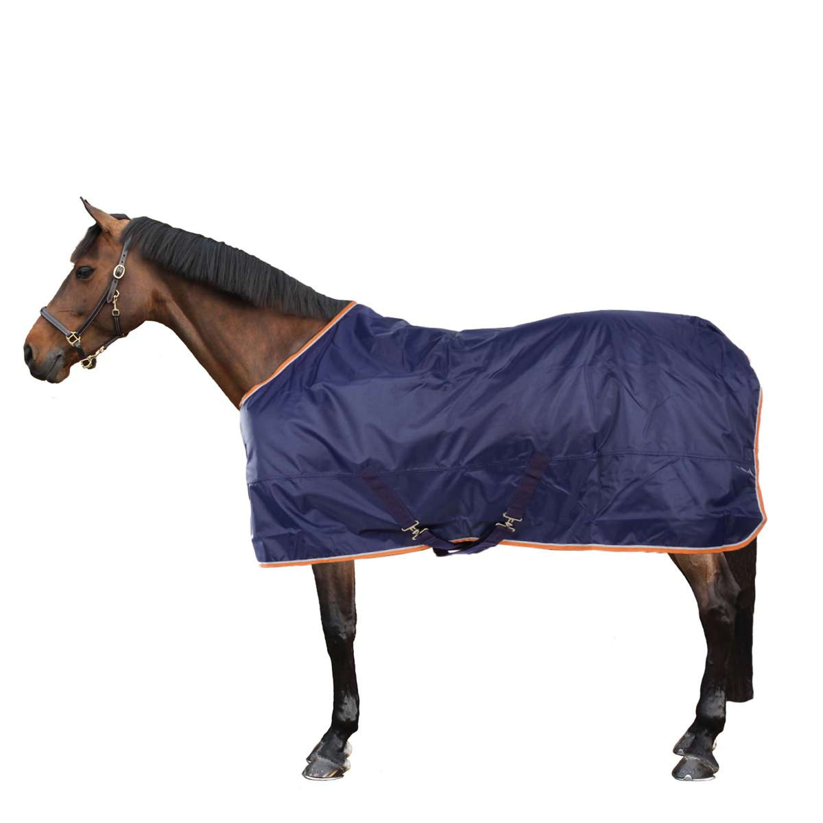 Tempest Winter Rug Turnout Typhoon 100g Navy