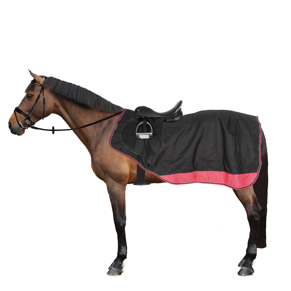 EQUITHÈME Exercise Rug Tyrex 1200D Fleece Black/Raspberry