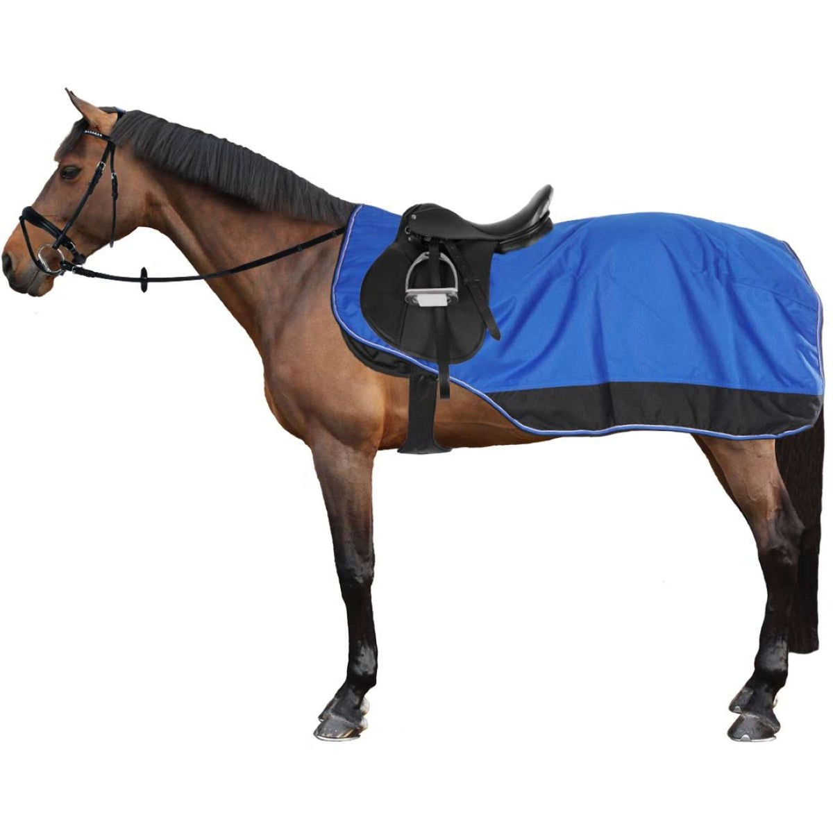 EQUITHÈME Exercise Rug Tyrex 1200D Fleece Blue/Black