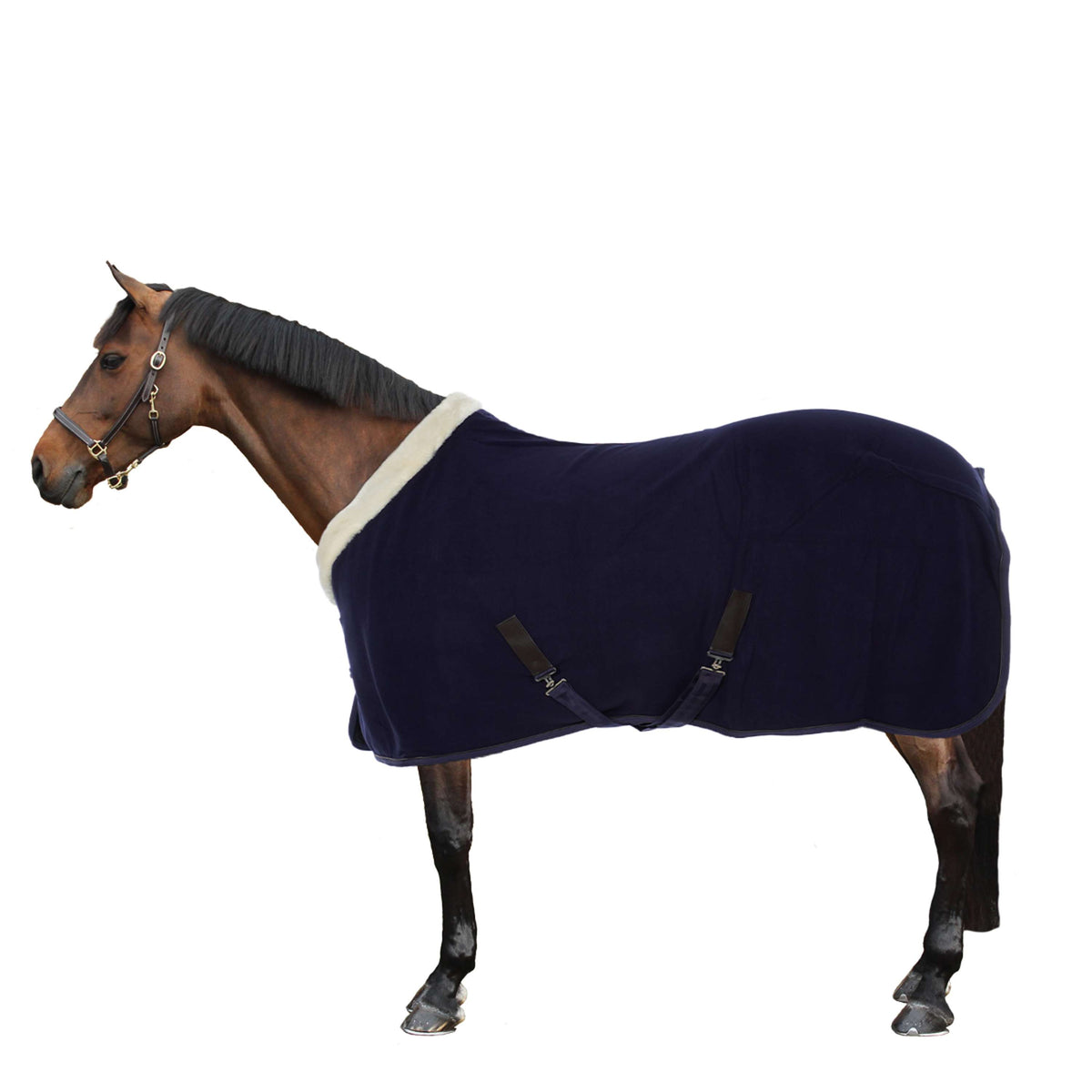 EQUITHÈME Fleece Rug Teddy Navy