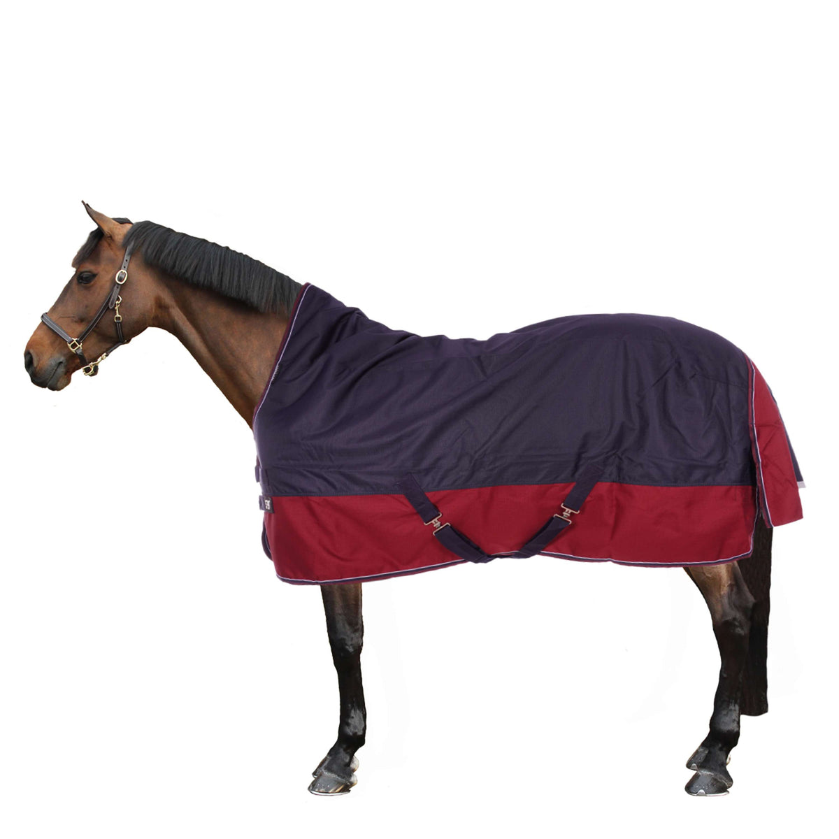 EQUITHÈME Outdoor Rug Tyrex 1200D 50g with Half Neck Navy/Bordeaux