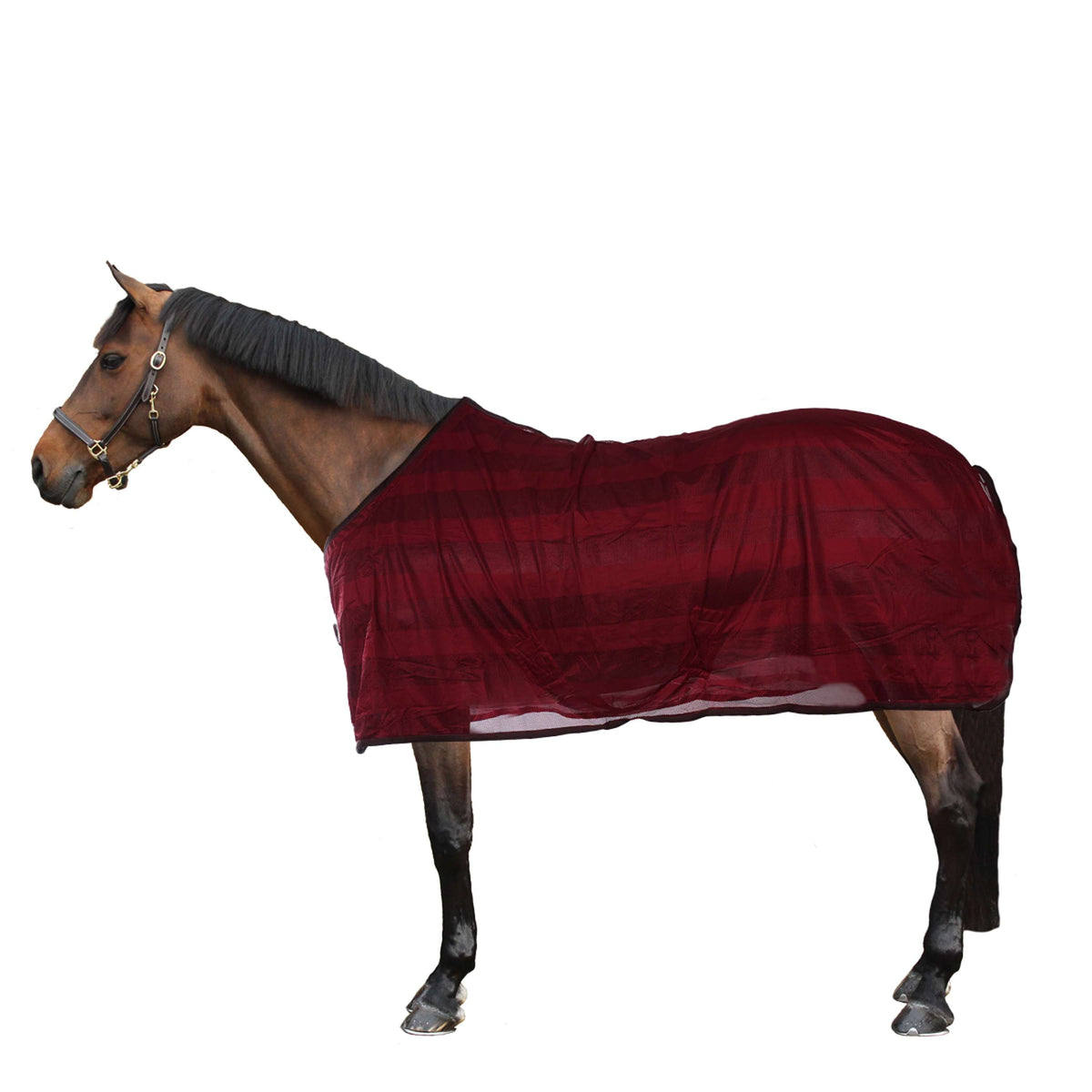 Kavalkade Fly Rug Stripe Bordeaux