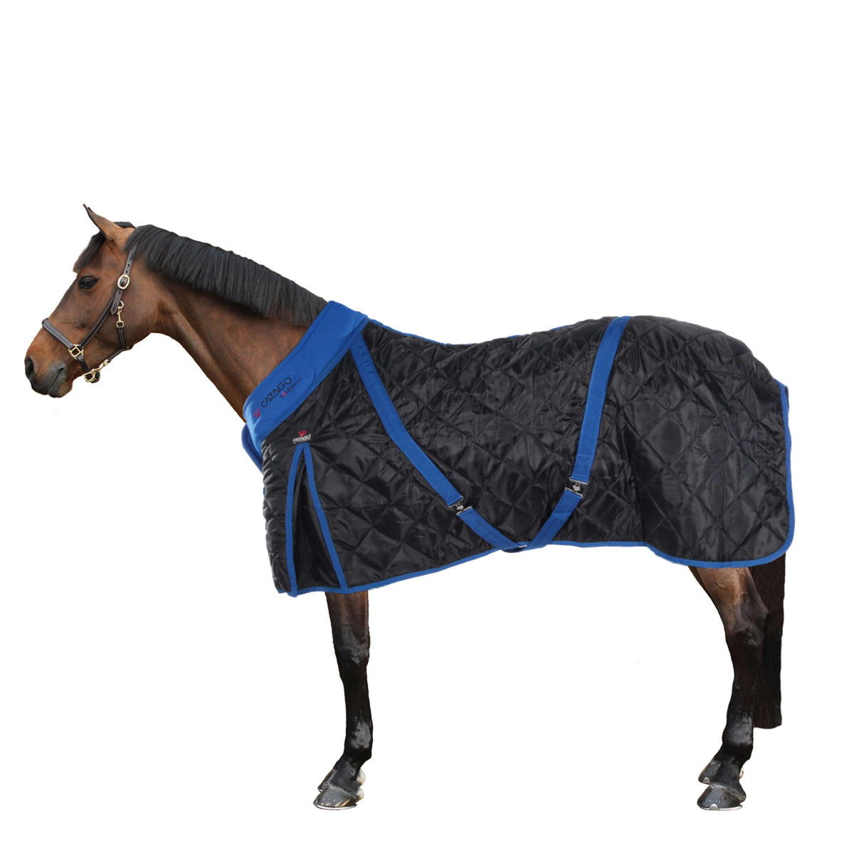 Catago Stable Rug 300g Black/Blue