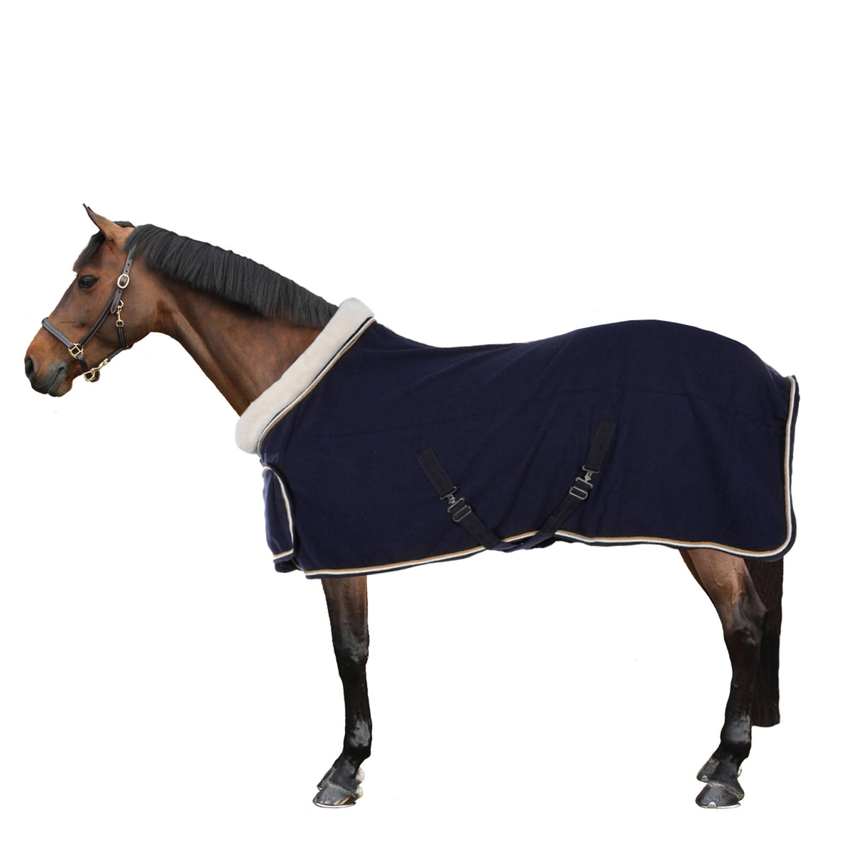 HB Showtime Show Rug Blue Moon 400gr Navy/Oranje