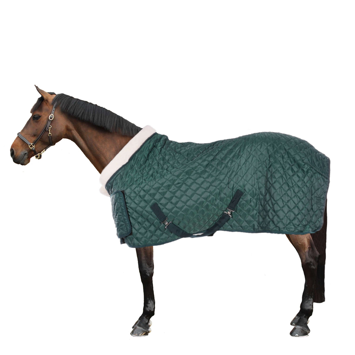 HB Showtime Show Rug Desire160gr Forest-Green