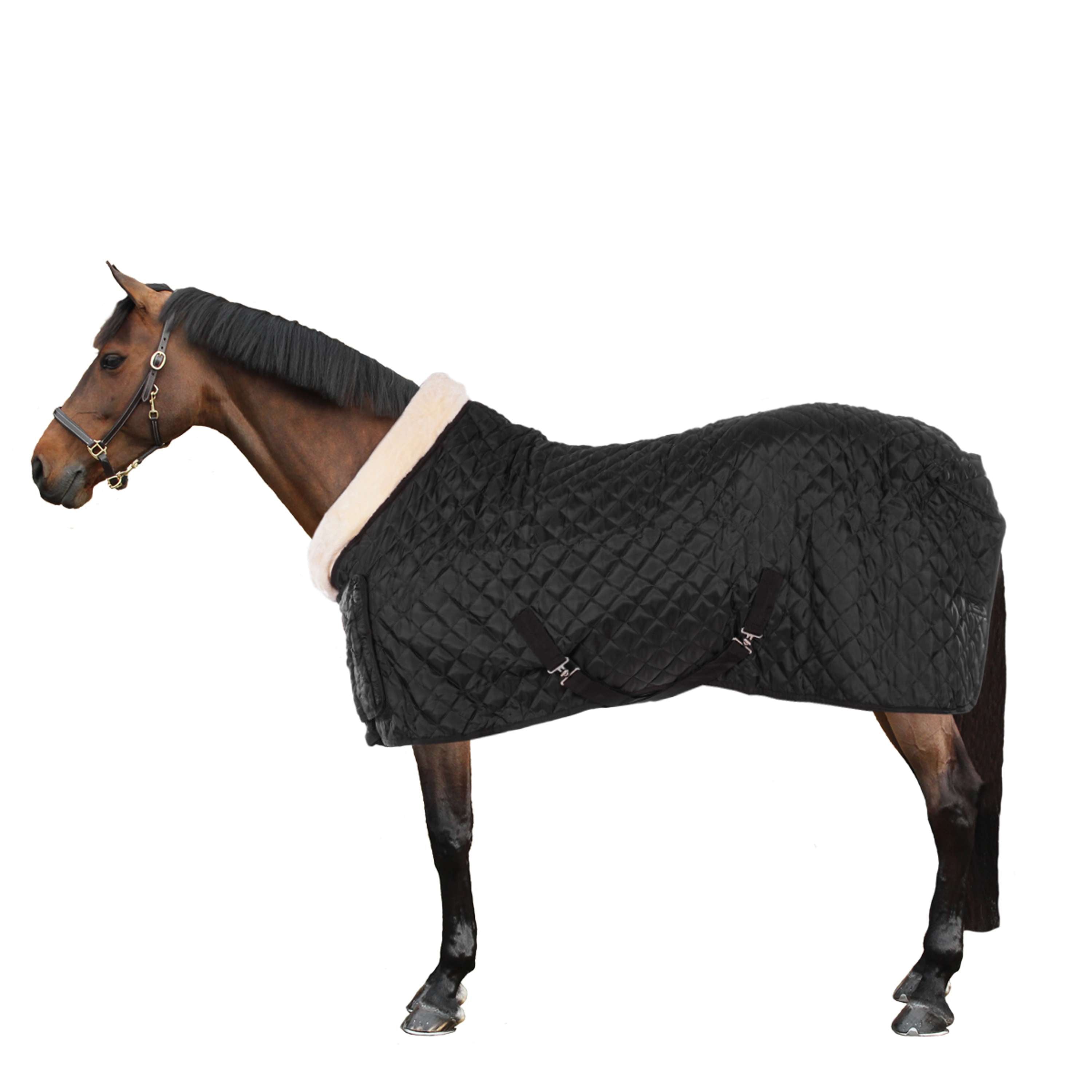 Bing Show Rug HB Showtime Show Rug Desire160gr Black | Agradi.com