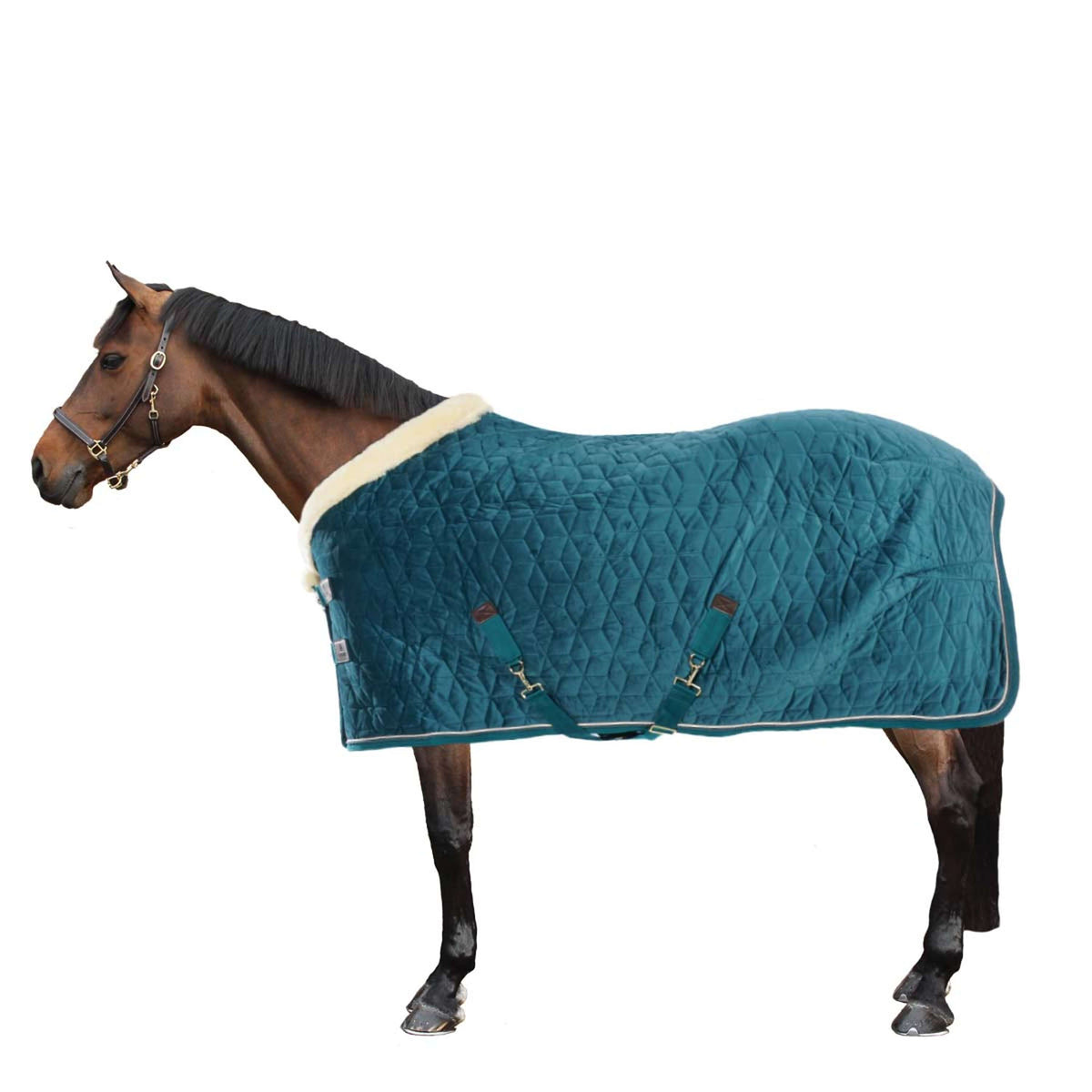 Kentucky Show Rug Velvet 160g Emerald