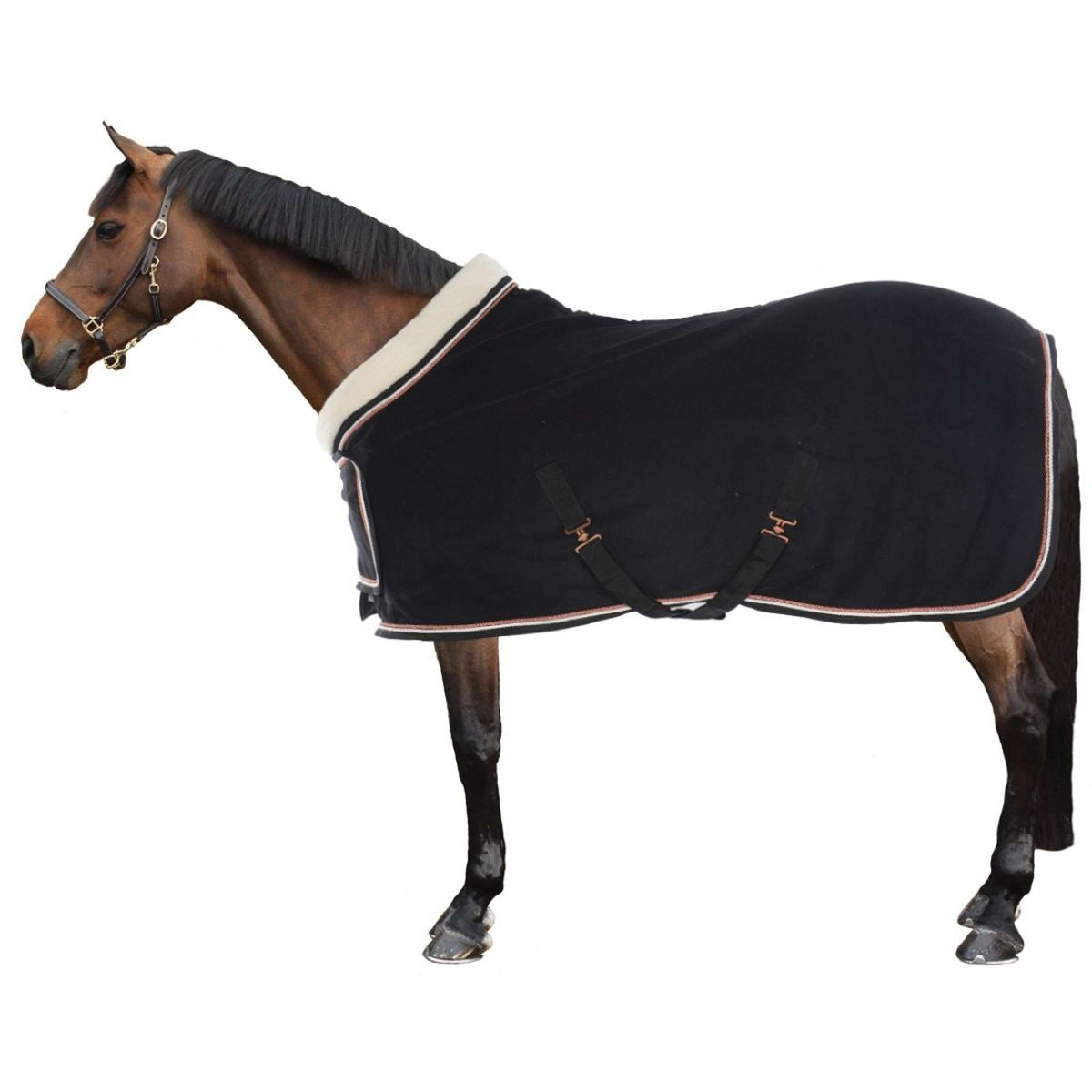 HB Show Rug Dutch Crown Europe Rose Black