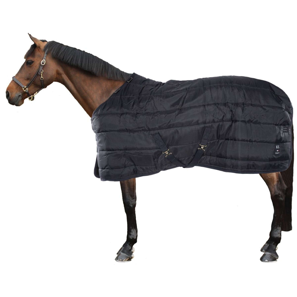 Kingsland Stable Rug Primary 300g with Hood Navy