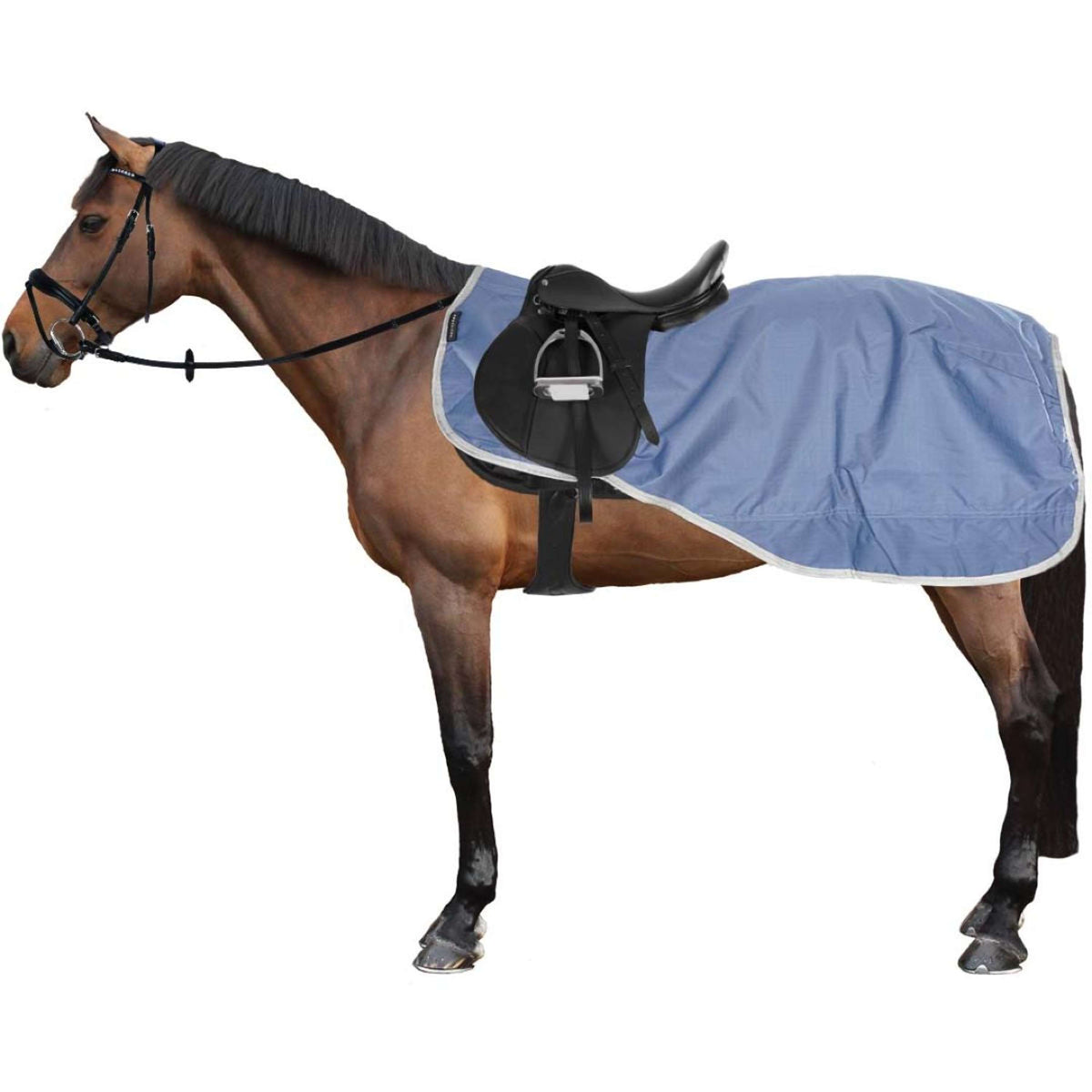 EQUITHÈME Exercise Rug Tyrex 600D Recycled Fleece Blue