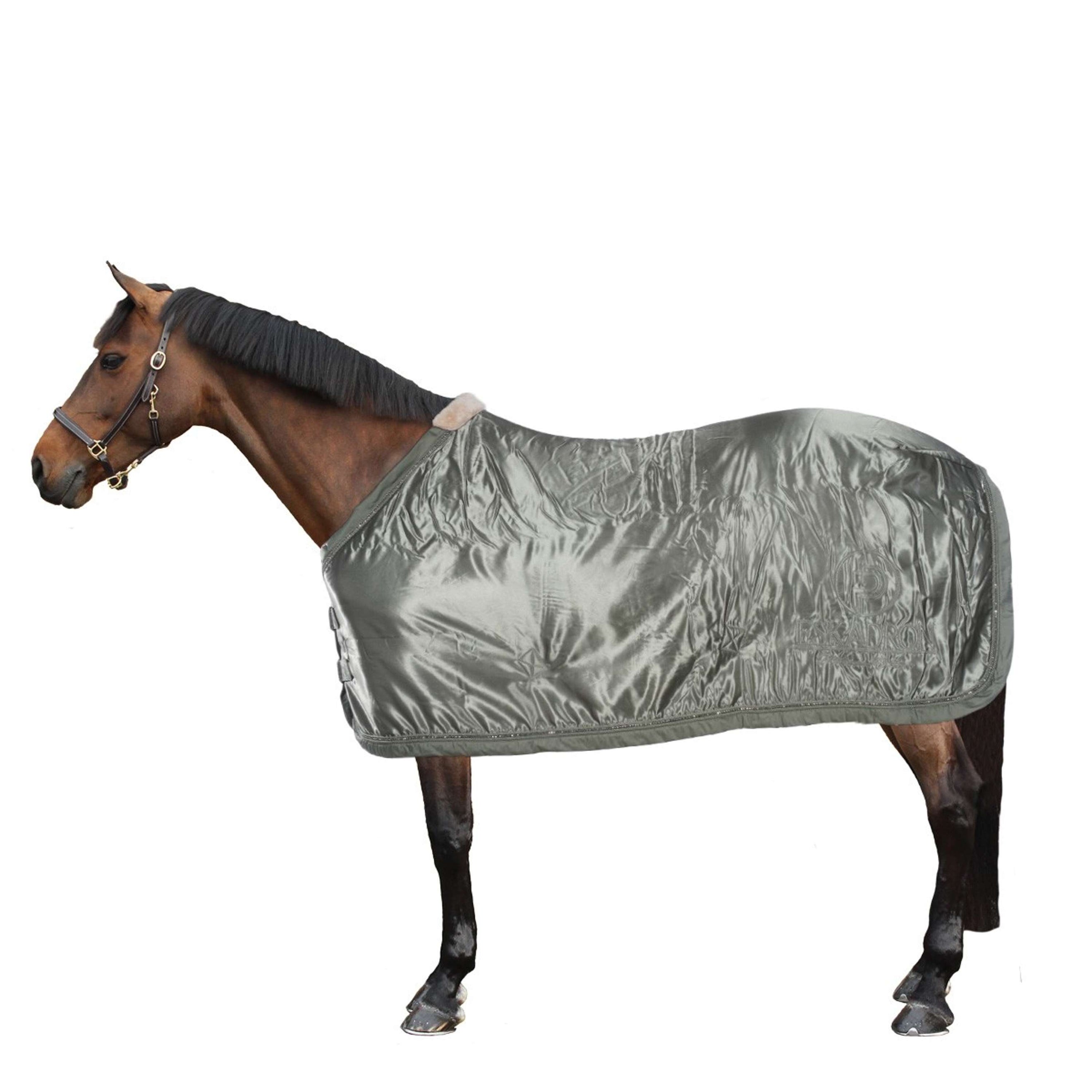 Eskadron Sweat Rug Platinum 2022 Satin Ashgreen