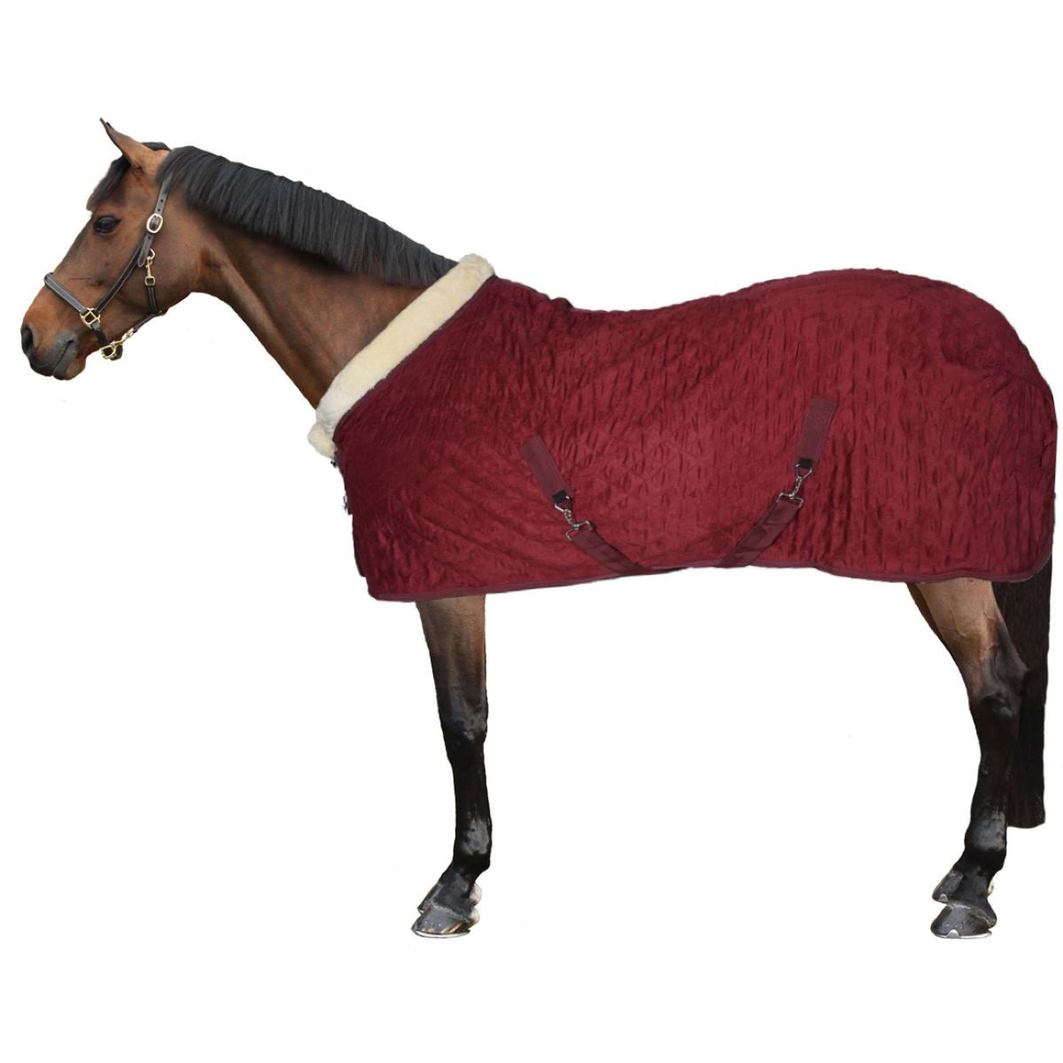 HB Show Rug Showtime Velvet Spring Burgundy