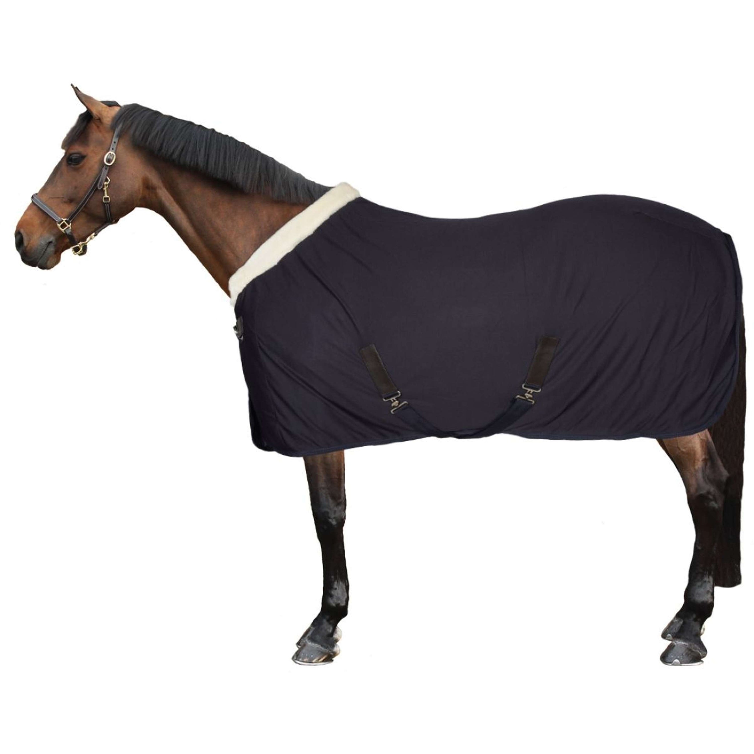 EQUITHÈME Cooler Teddy Navy