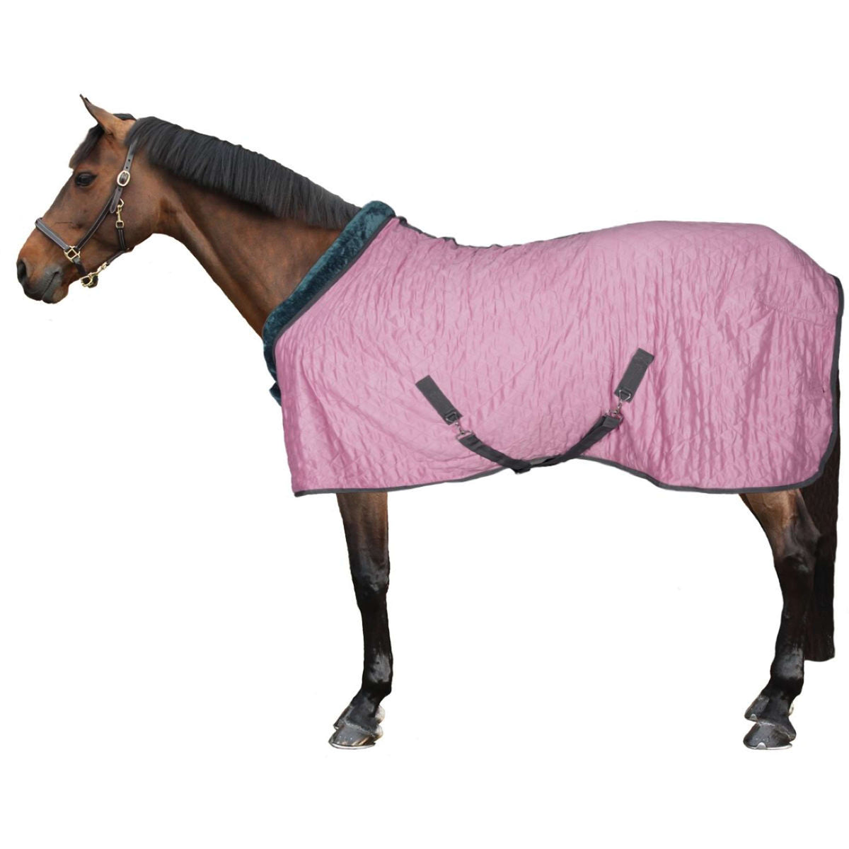 HB Show Rug Velvet Sunset Old Pink