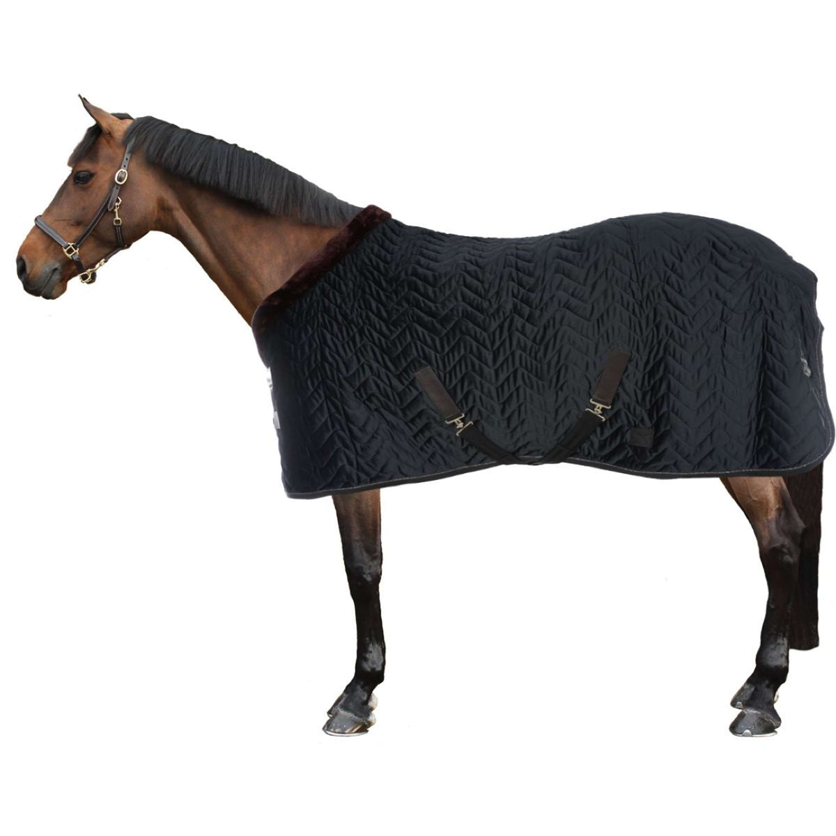 EQUITHÈME Stable Rug Velvet Teddy Black