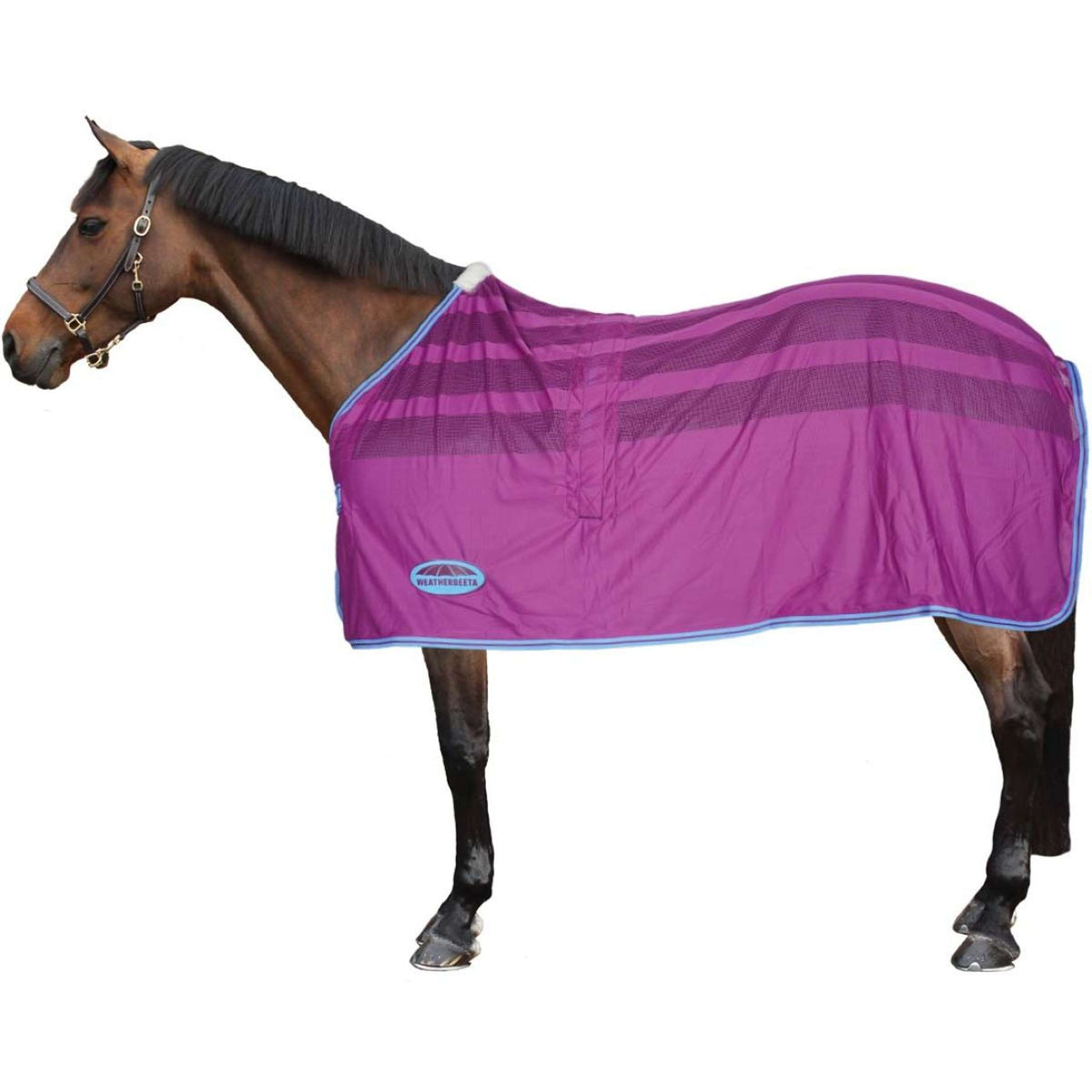 Weatherbeeta Sweat Rug Scrim Standard Neck Violet/Blue